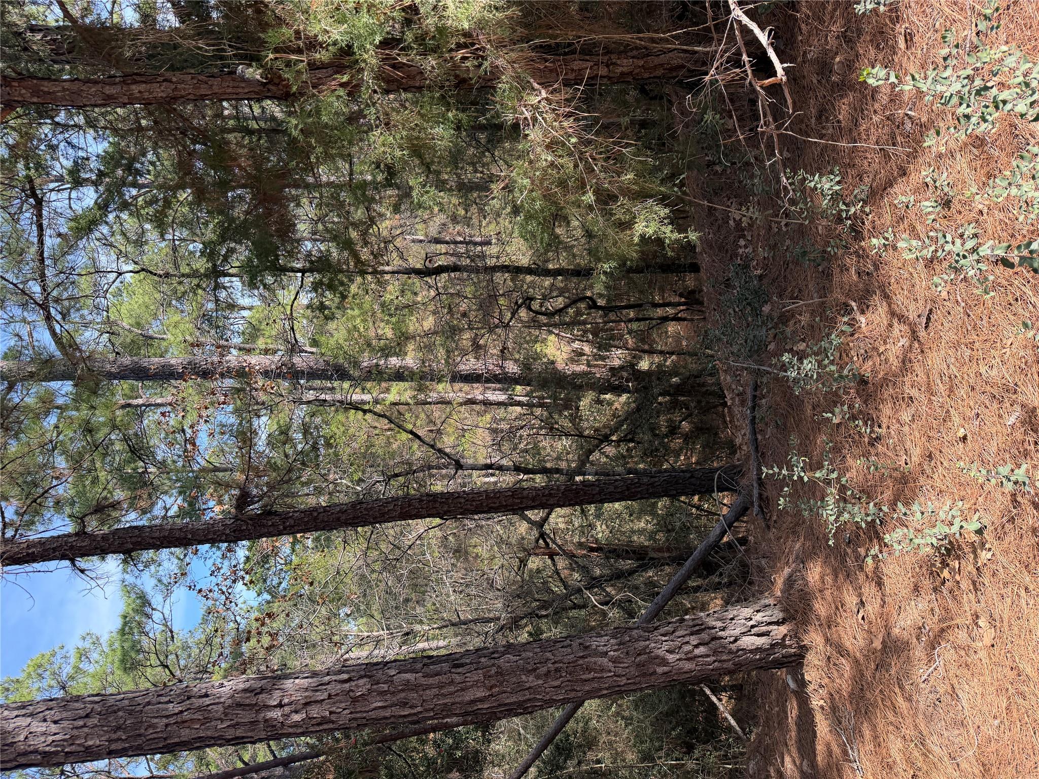 Lot 266 Wainee Dr Property Photo 3