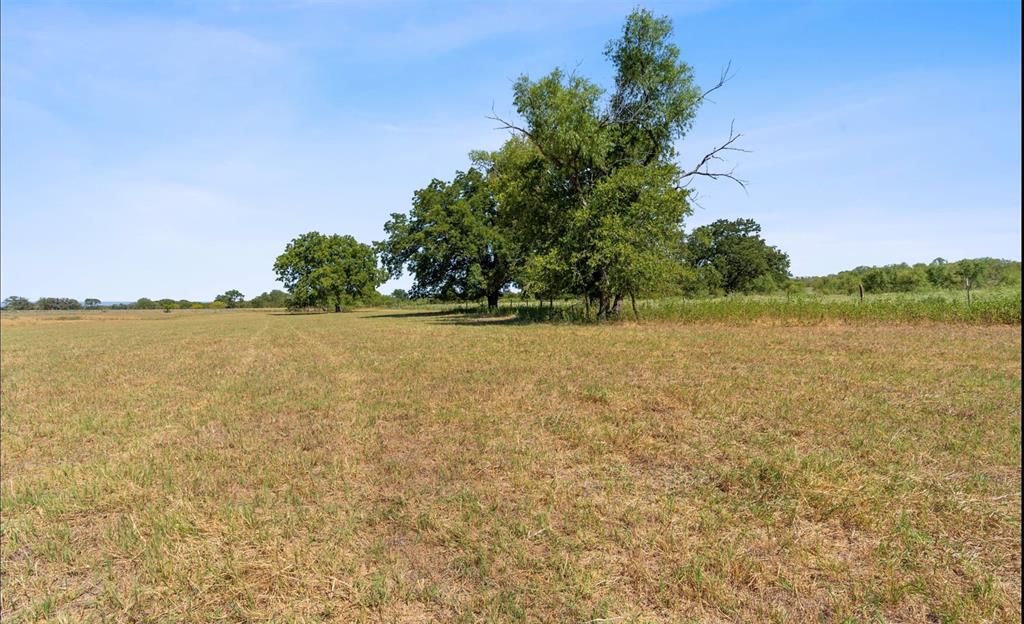 299 Wattsville Rd Property Photo 3
