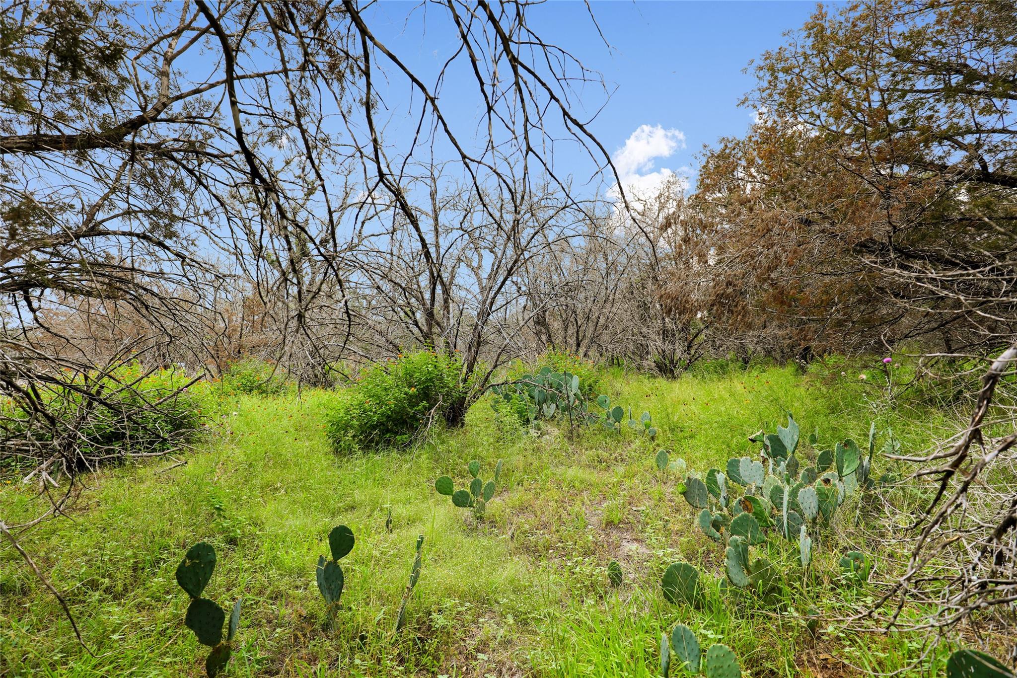 21711 Cardinal Ave Property Photo 4