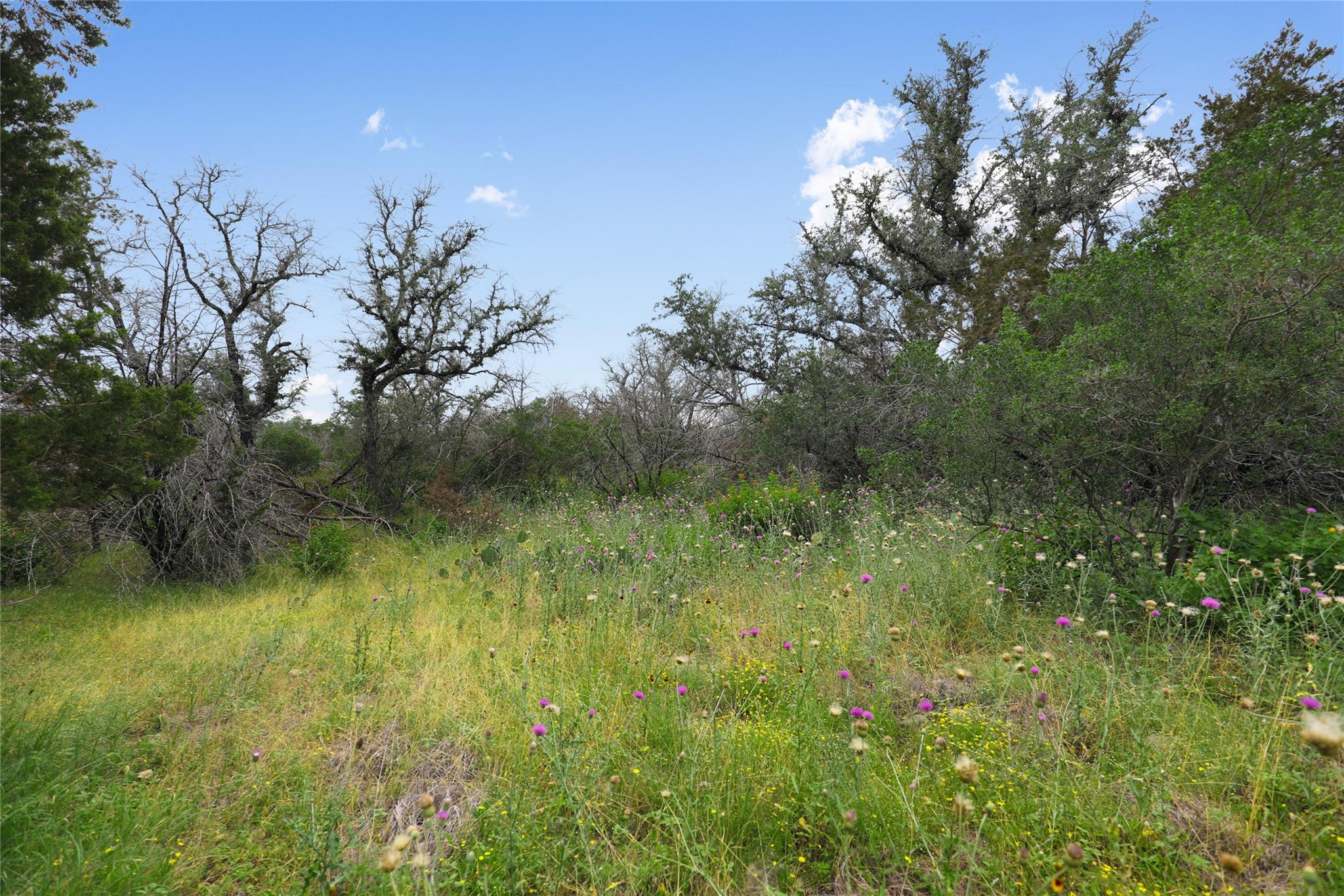 21711 Cardinal Ave Property Photo 9