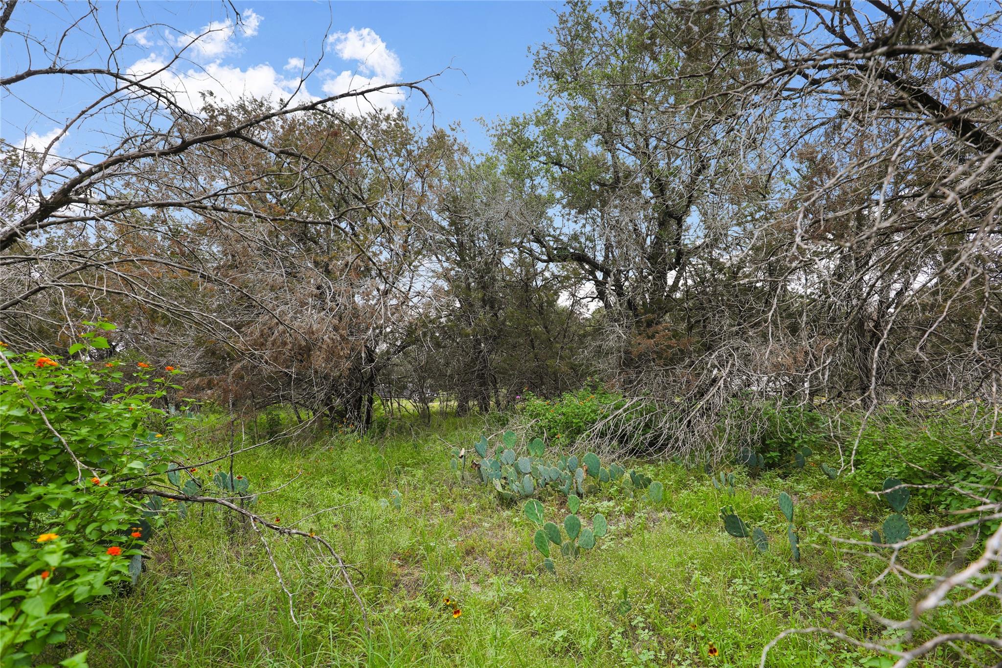 21711 Cardinal Ave Property Photo 13