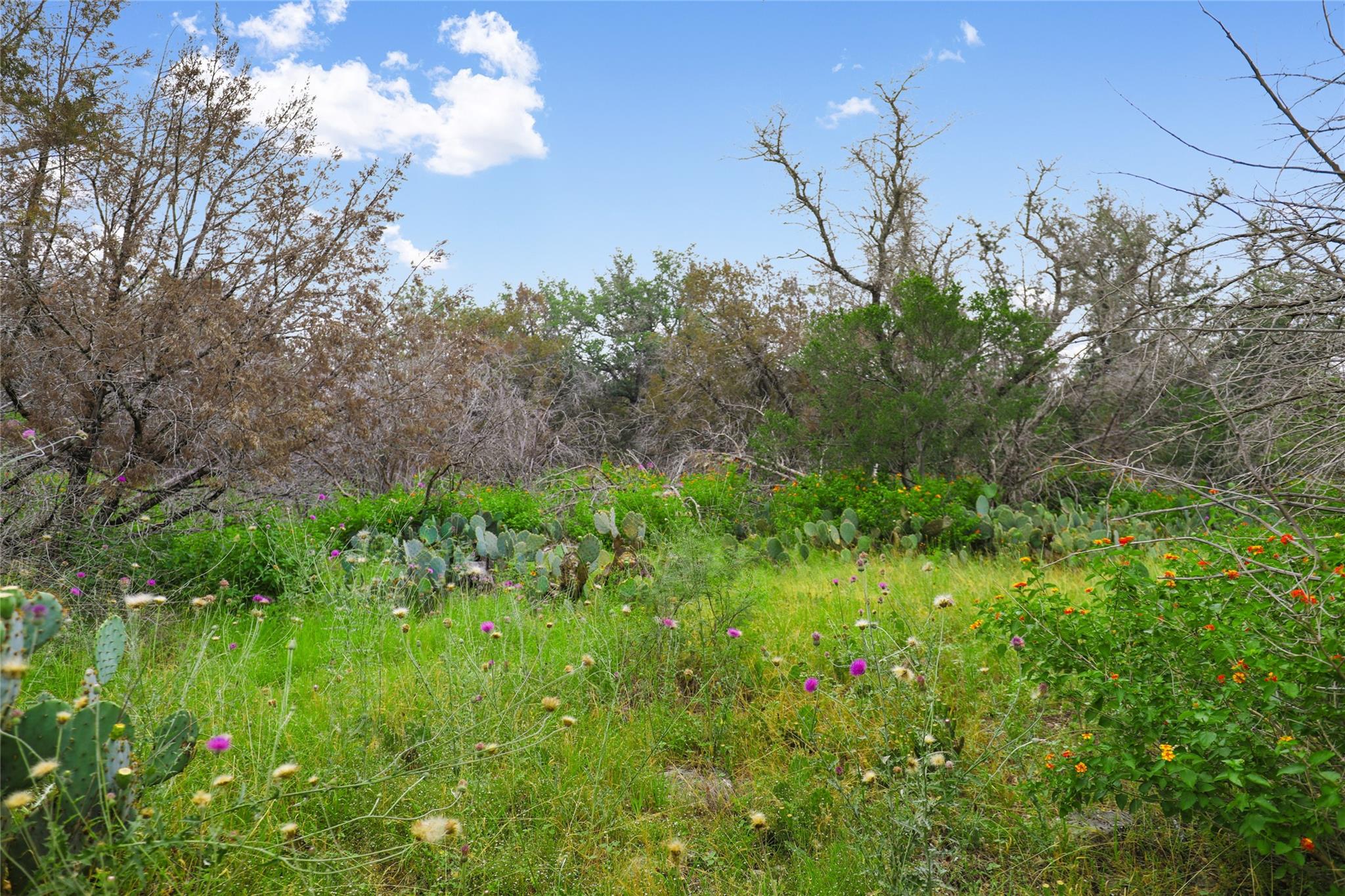 21711 Cardinal Ave Property Photo 21