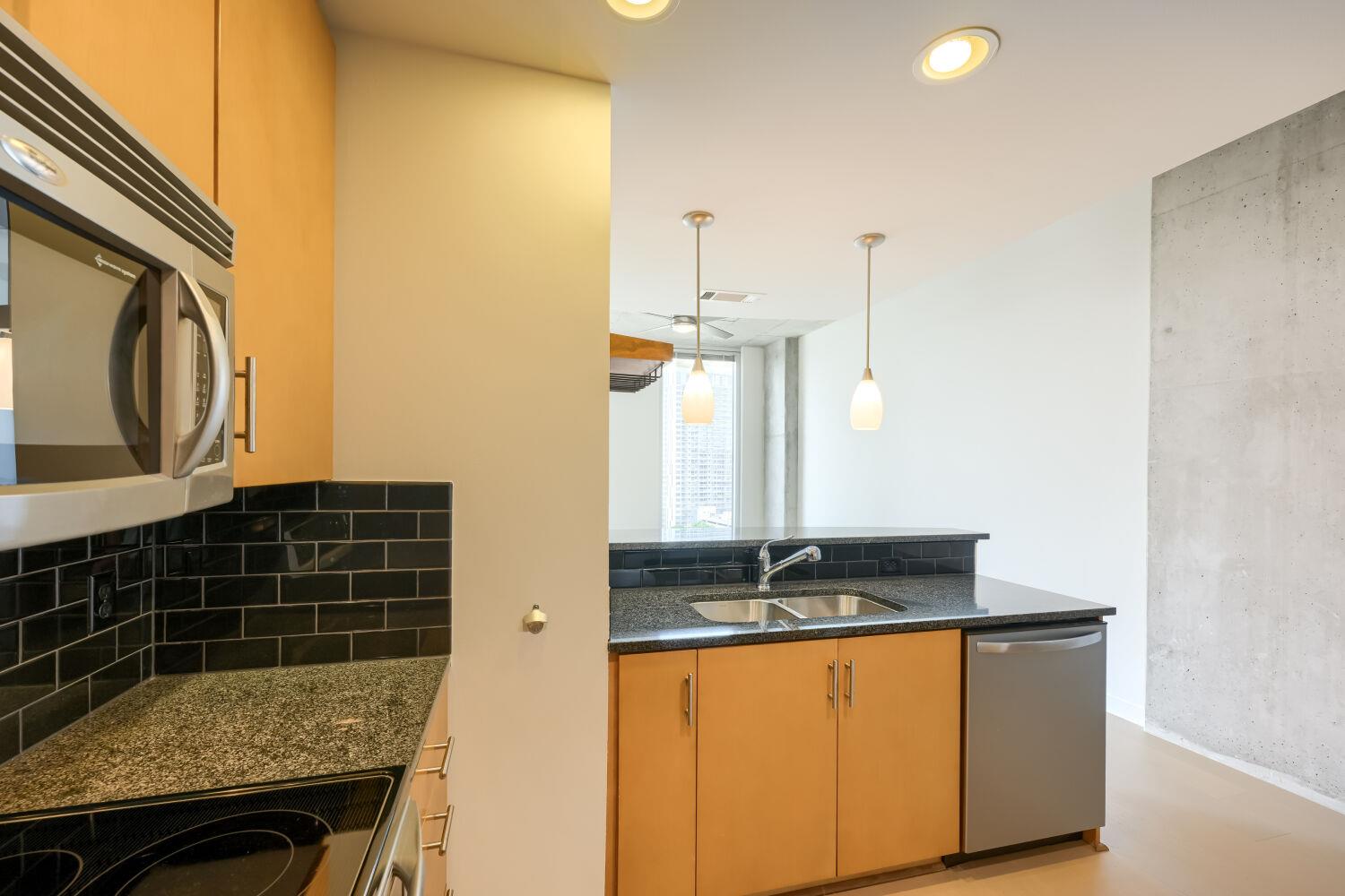 360 Nueces St #1208 Property Photo 17
