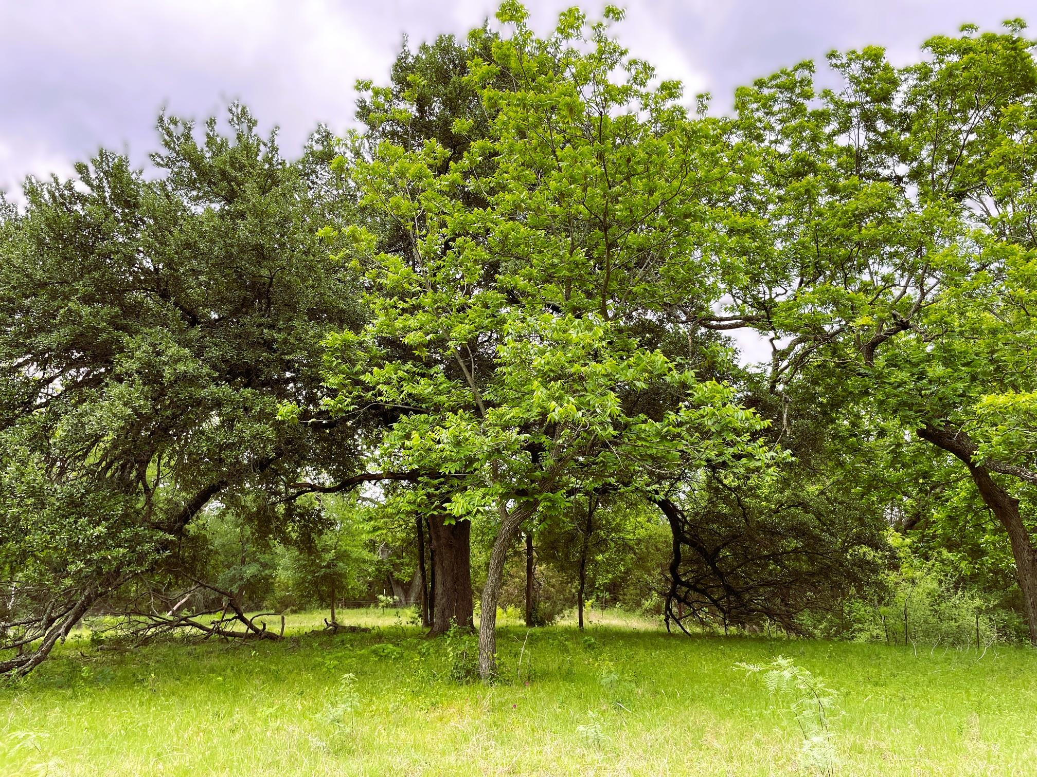 7866 County Road 404 None Property Photo 7