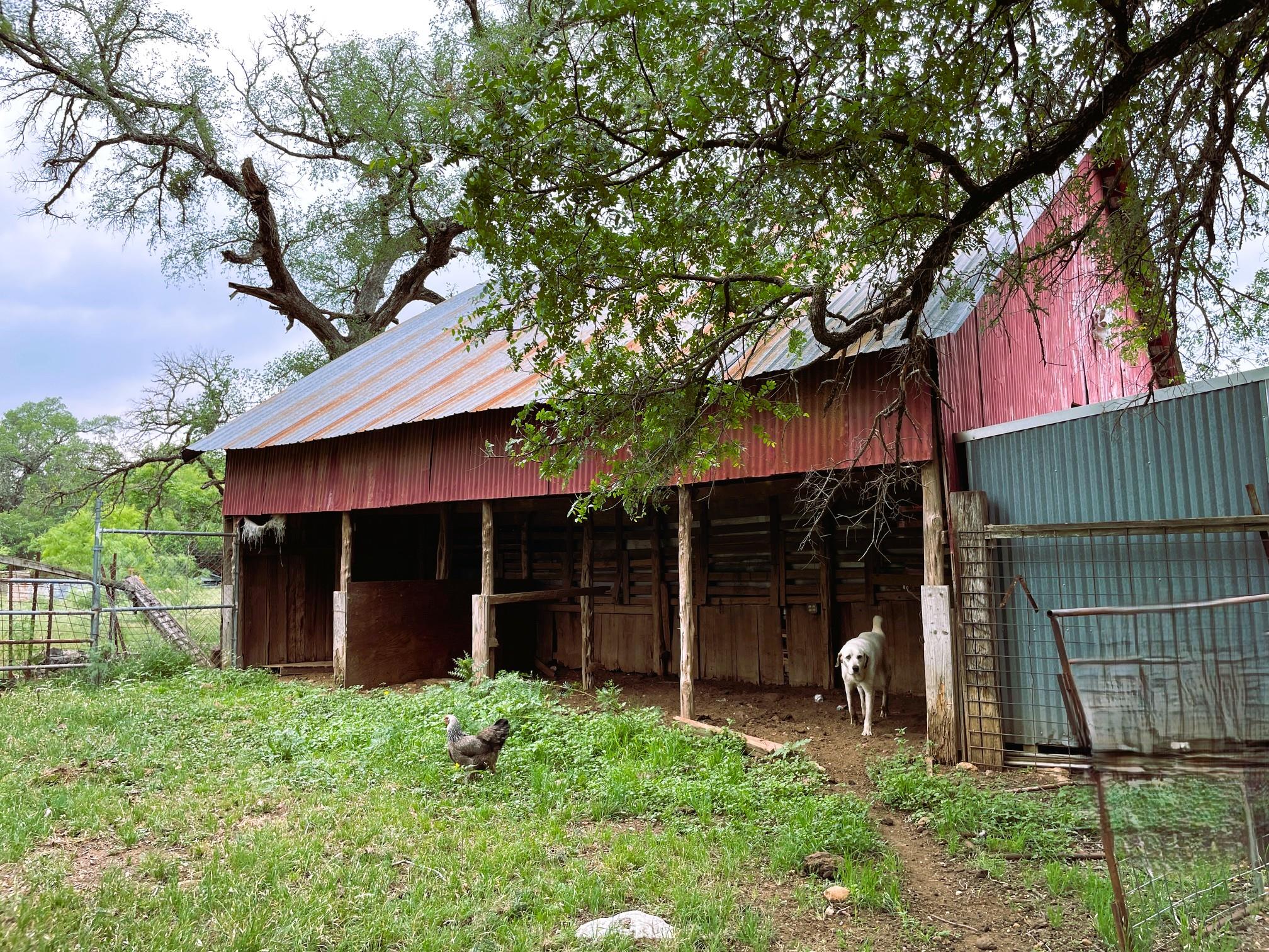 7866 County Road 404 None Property Photo 26