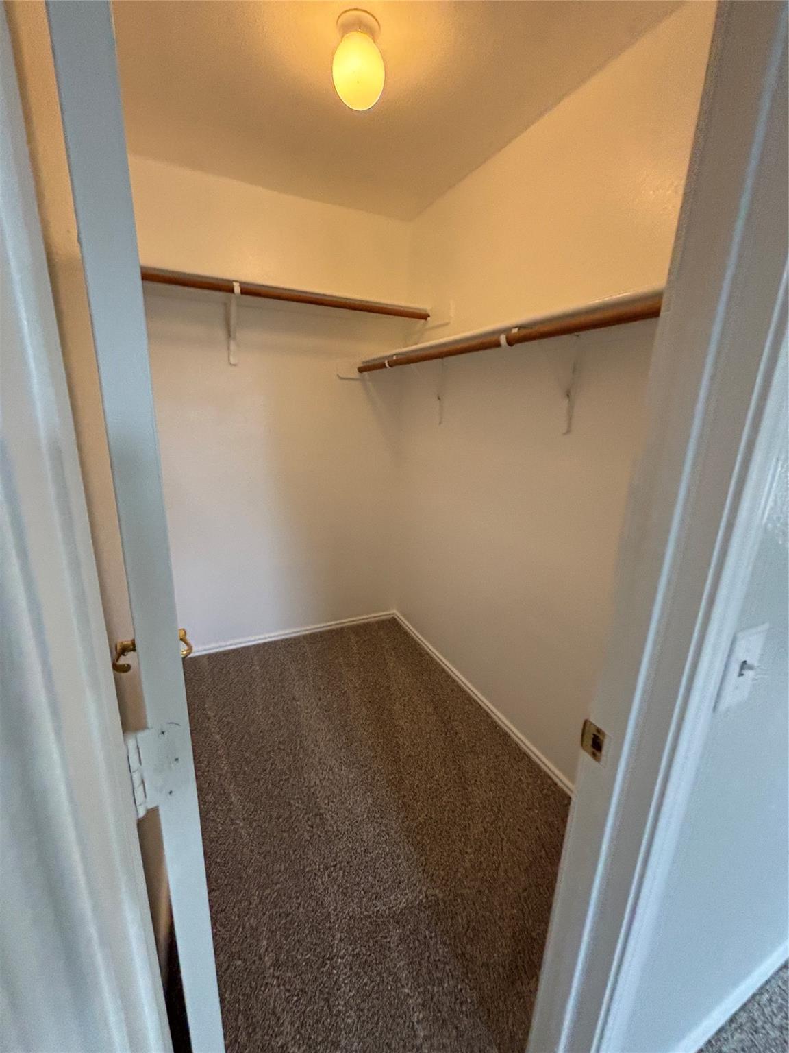 5504 Steven Creek Way Property Photo 14