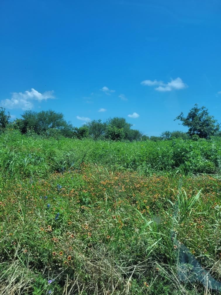 0 Emil Blank Rd Property Photo 1