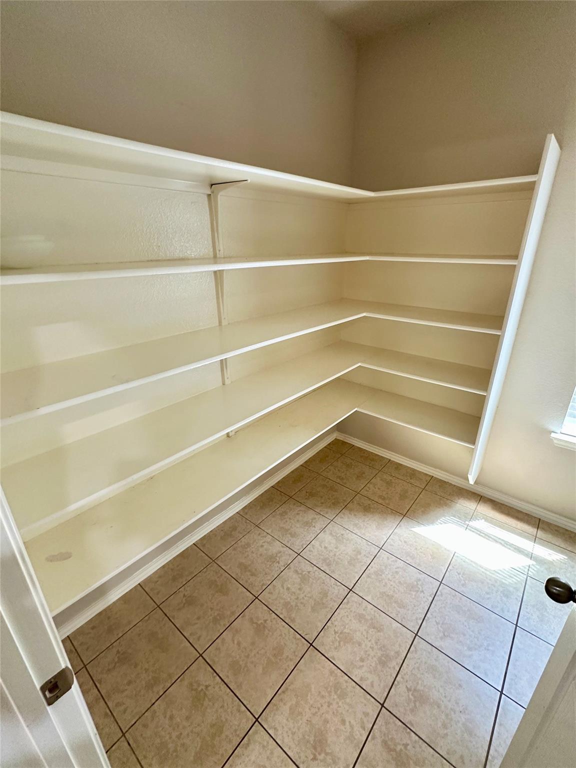 8633 White Ibis Dr Property Photo 10