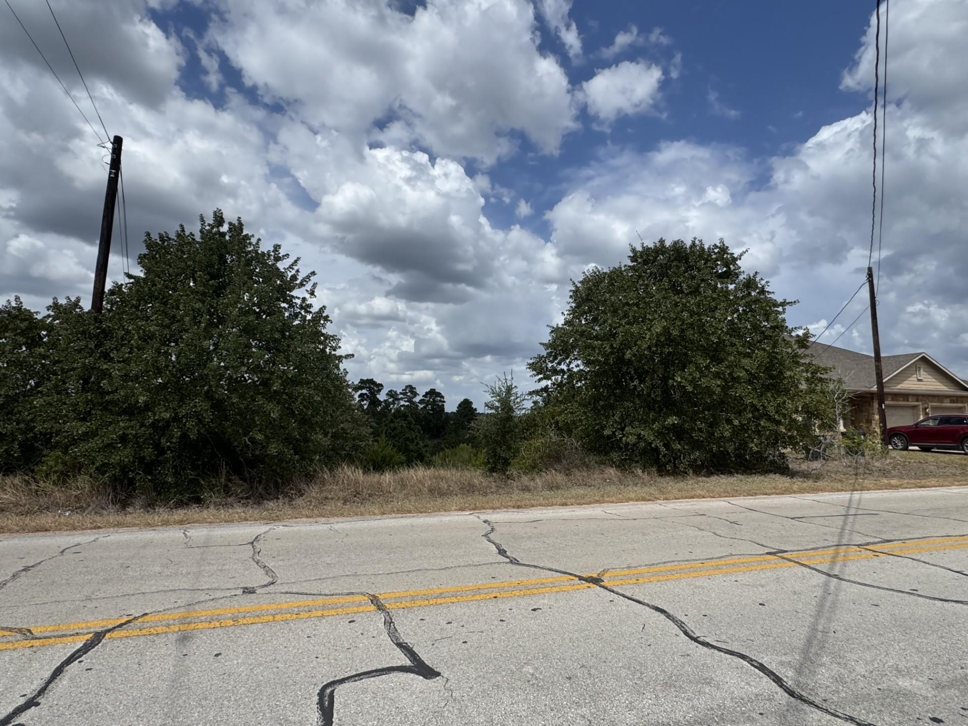 Lot 159 Mauna Kea Dr Property Photo 1