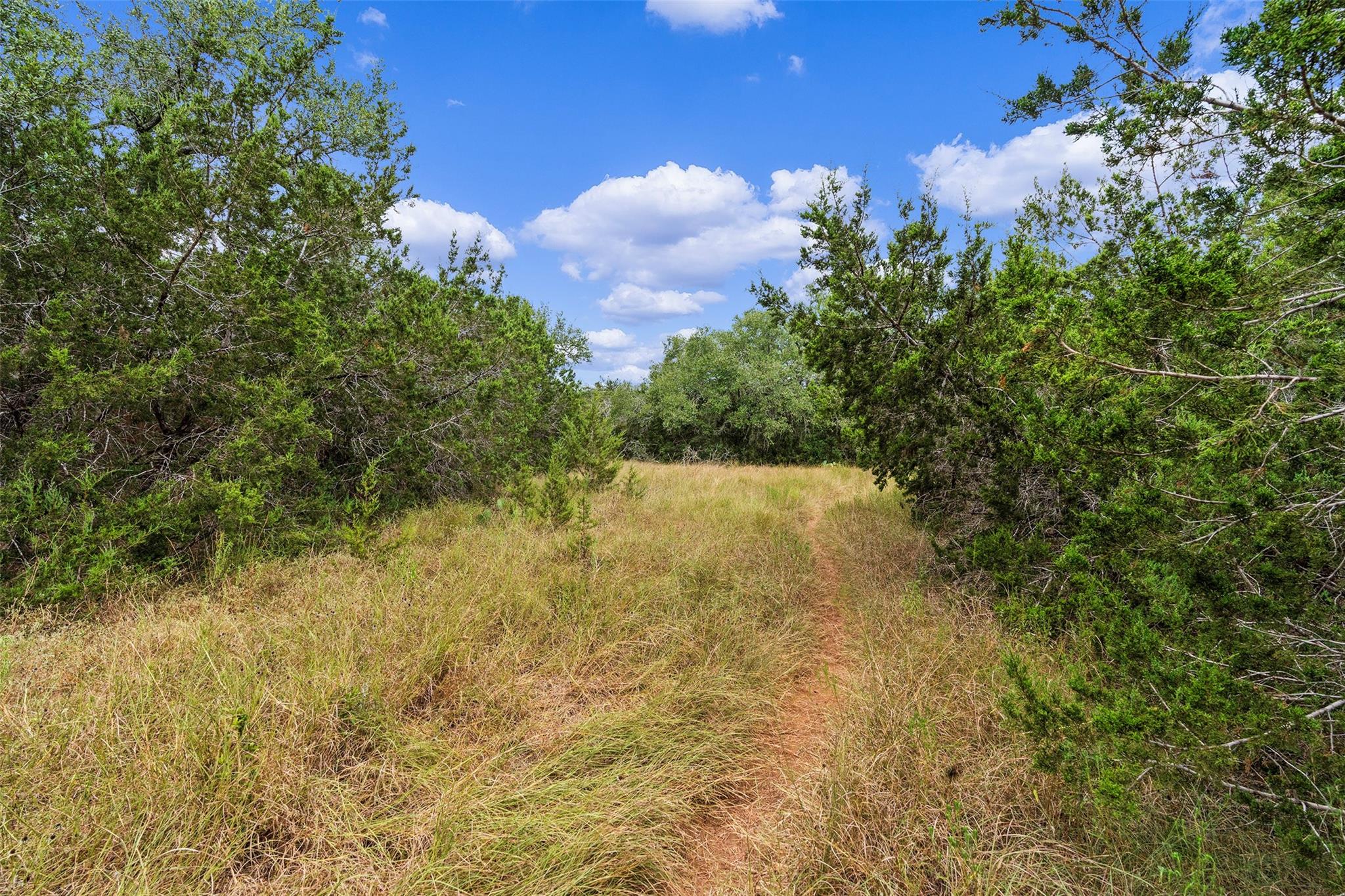 Tbd Escarpment Blvd Property Photo 1