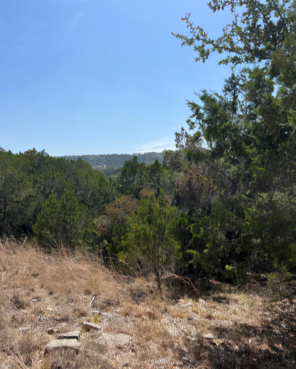 8118 Foothill Cv Property Photo 1