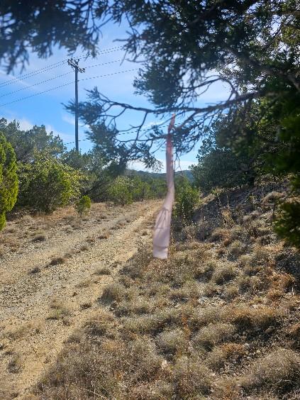 8118 Foothill Cv Property Photo 4