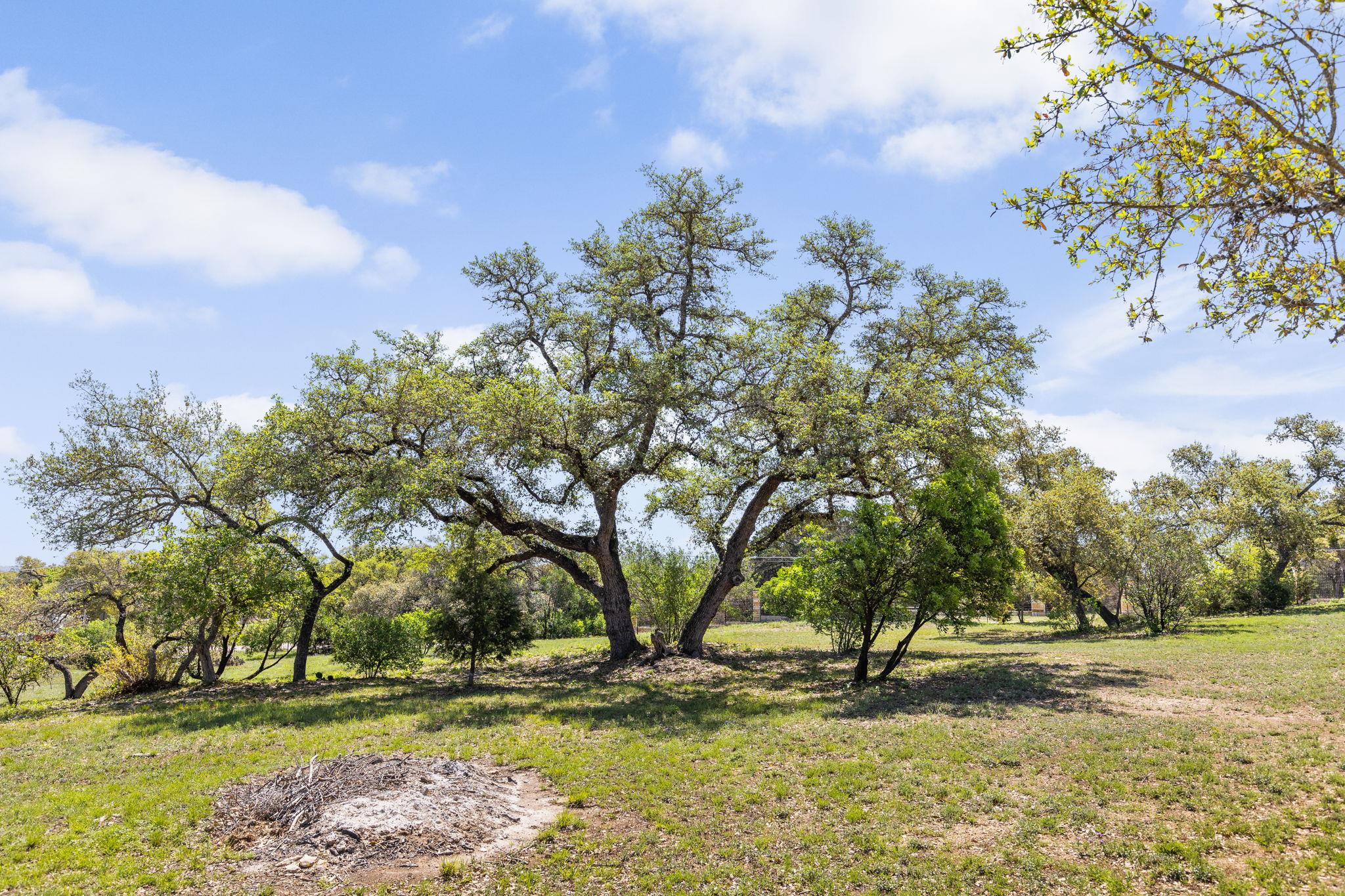 18105 Austin Blvd Property Photo 28
