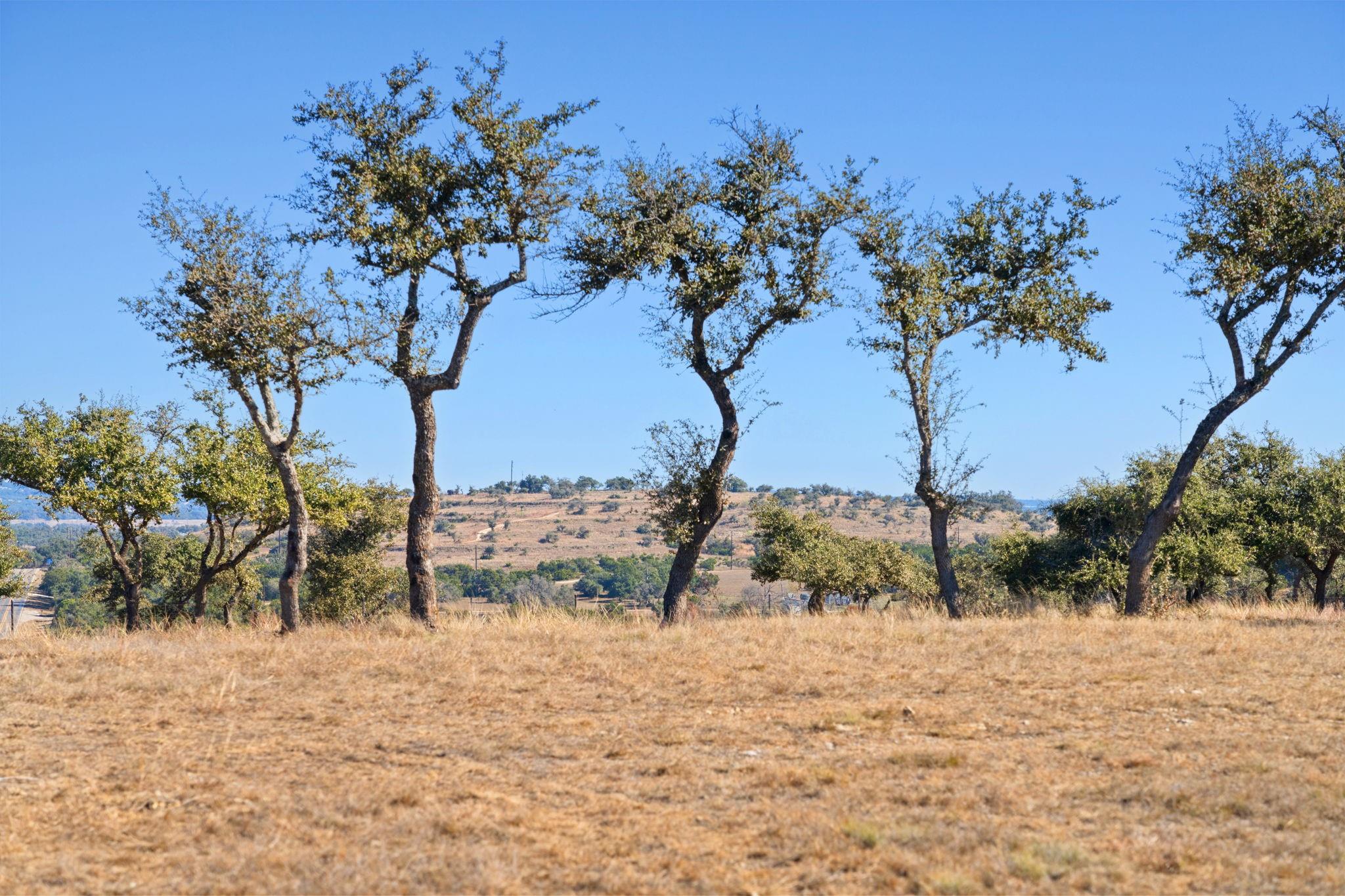 3300 Fm 165 - Lot 23 Property Photo 14