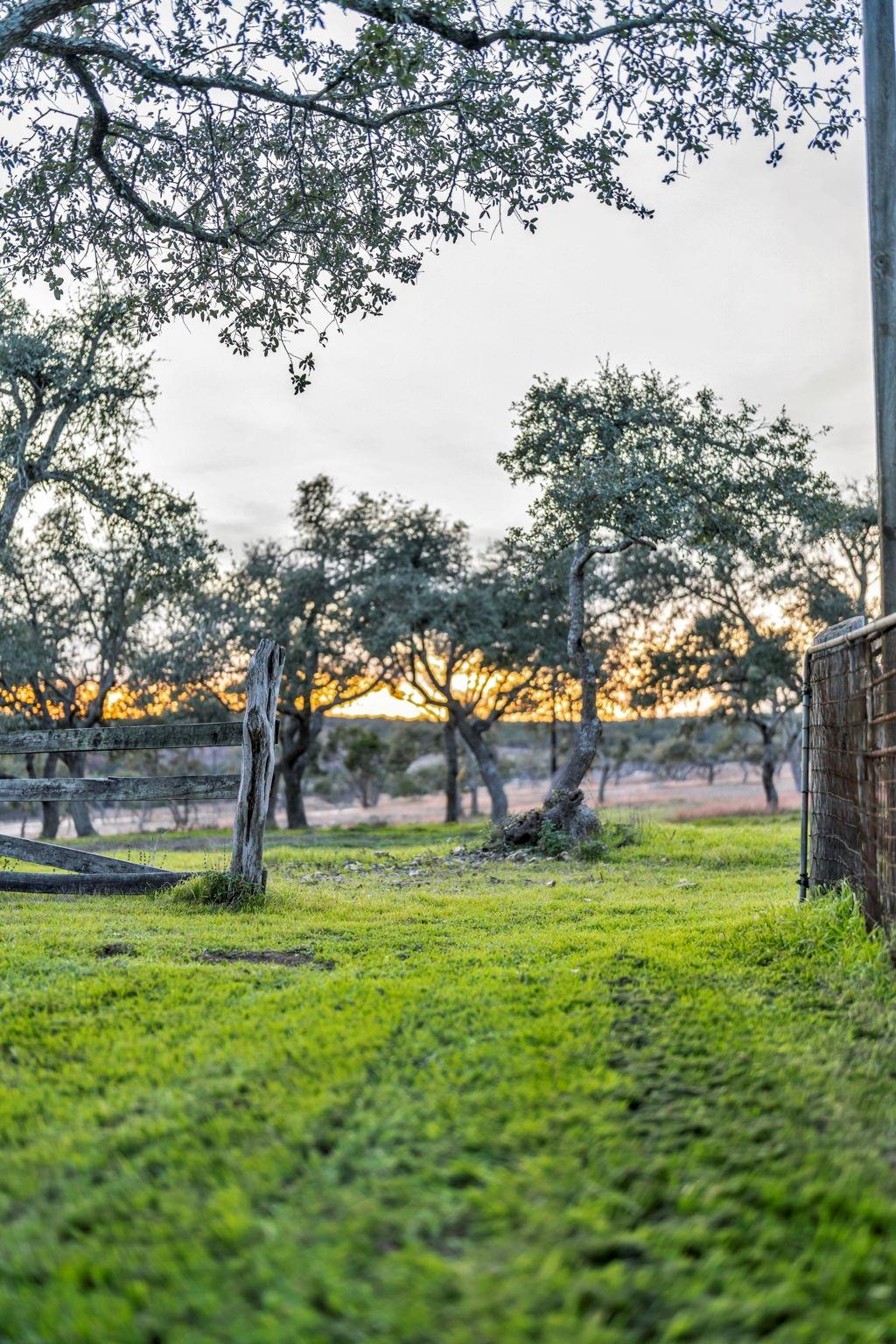 3300 Fm 165 - Lot 23 Property Photo 32