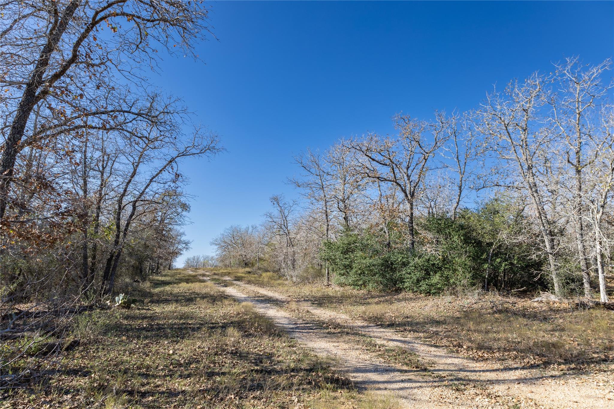 399 Seals Creek Rd Property Photo 14