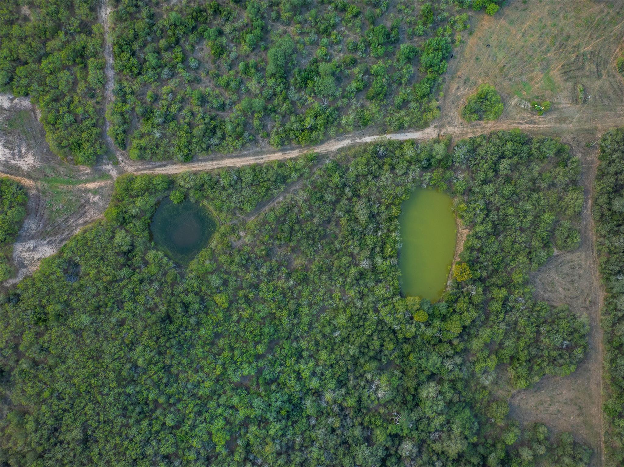 399 Seals Creek Rd Property Photo 19