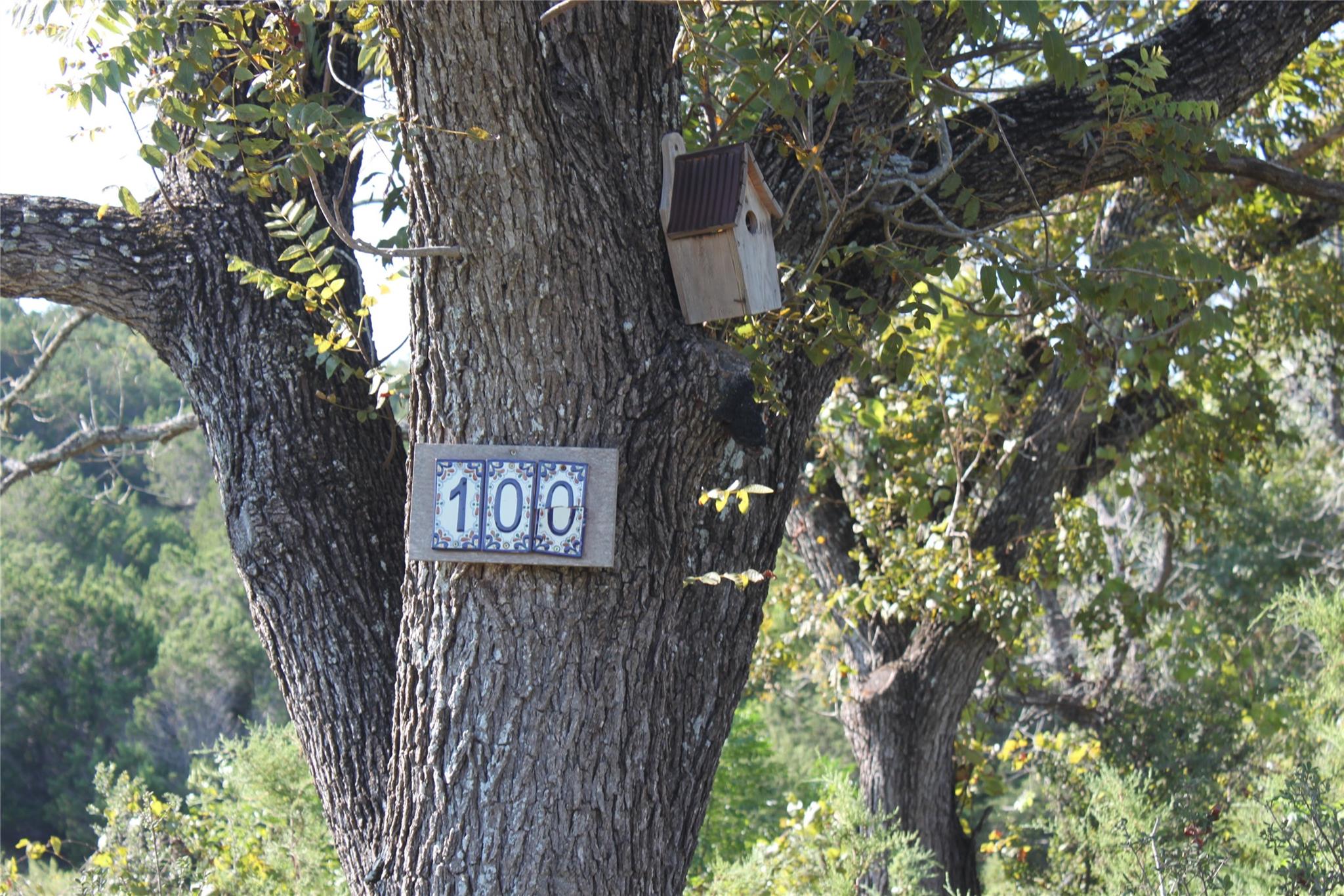 Lot 100 Saddle Ridge Dr Property Photo 2