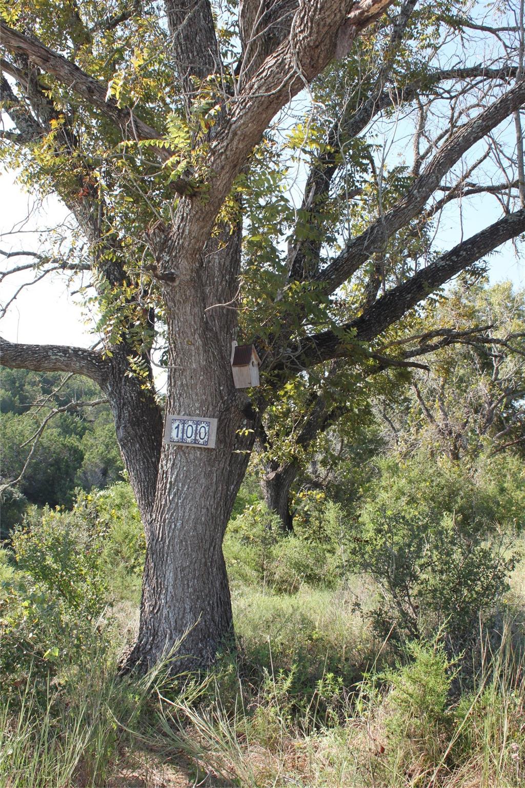 Lot 100 Saddle Ridge Dr Property Photo 3