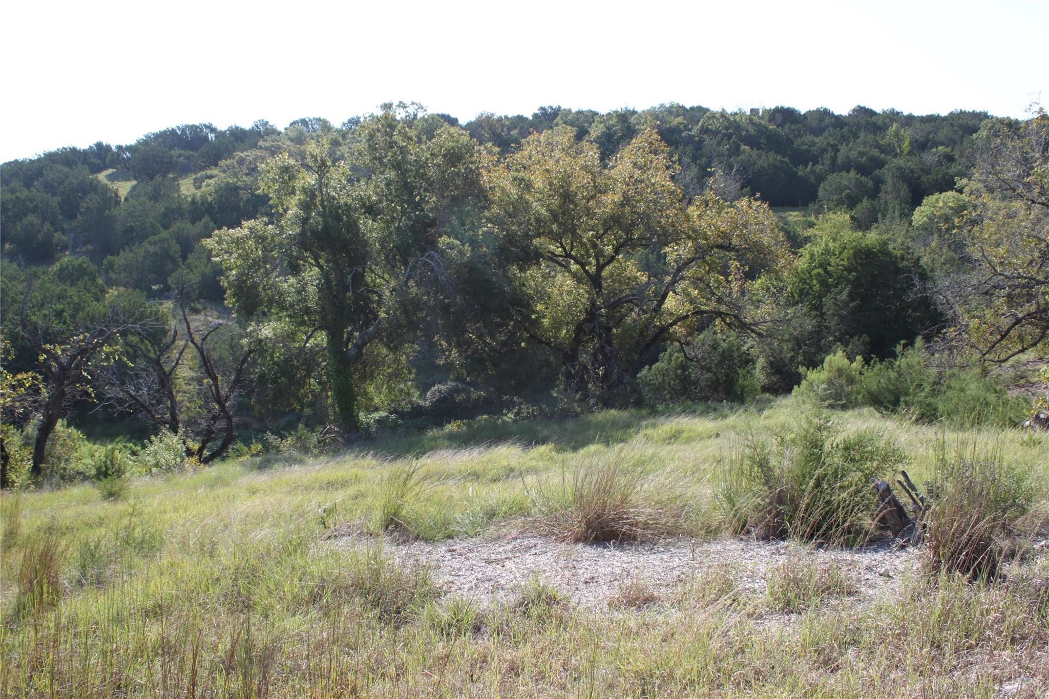 Lot 100 Saddle Ridge Dr Property Photo 8