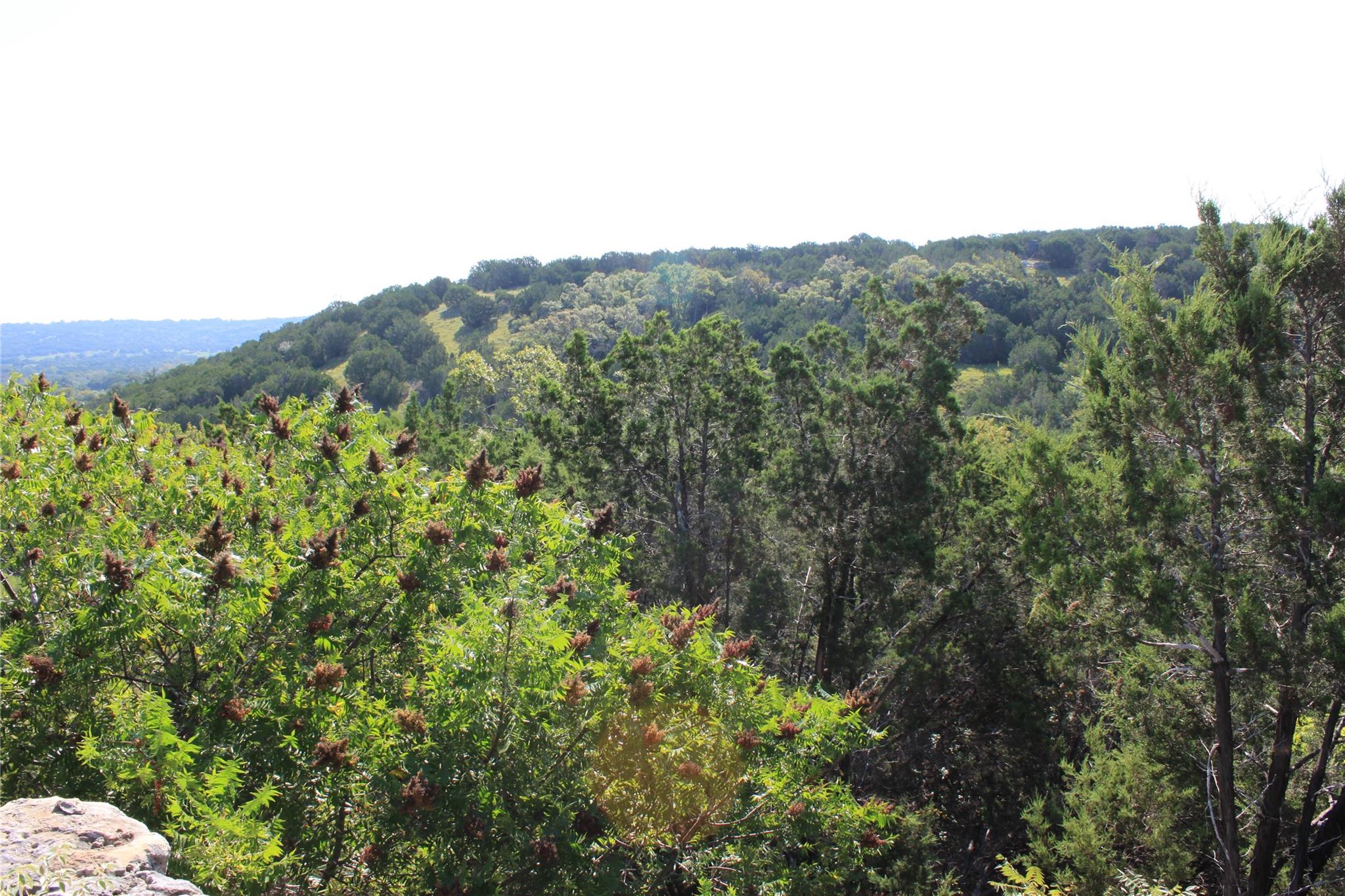 Lot 100 Saddle Ridge Dr Property Photo 19