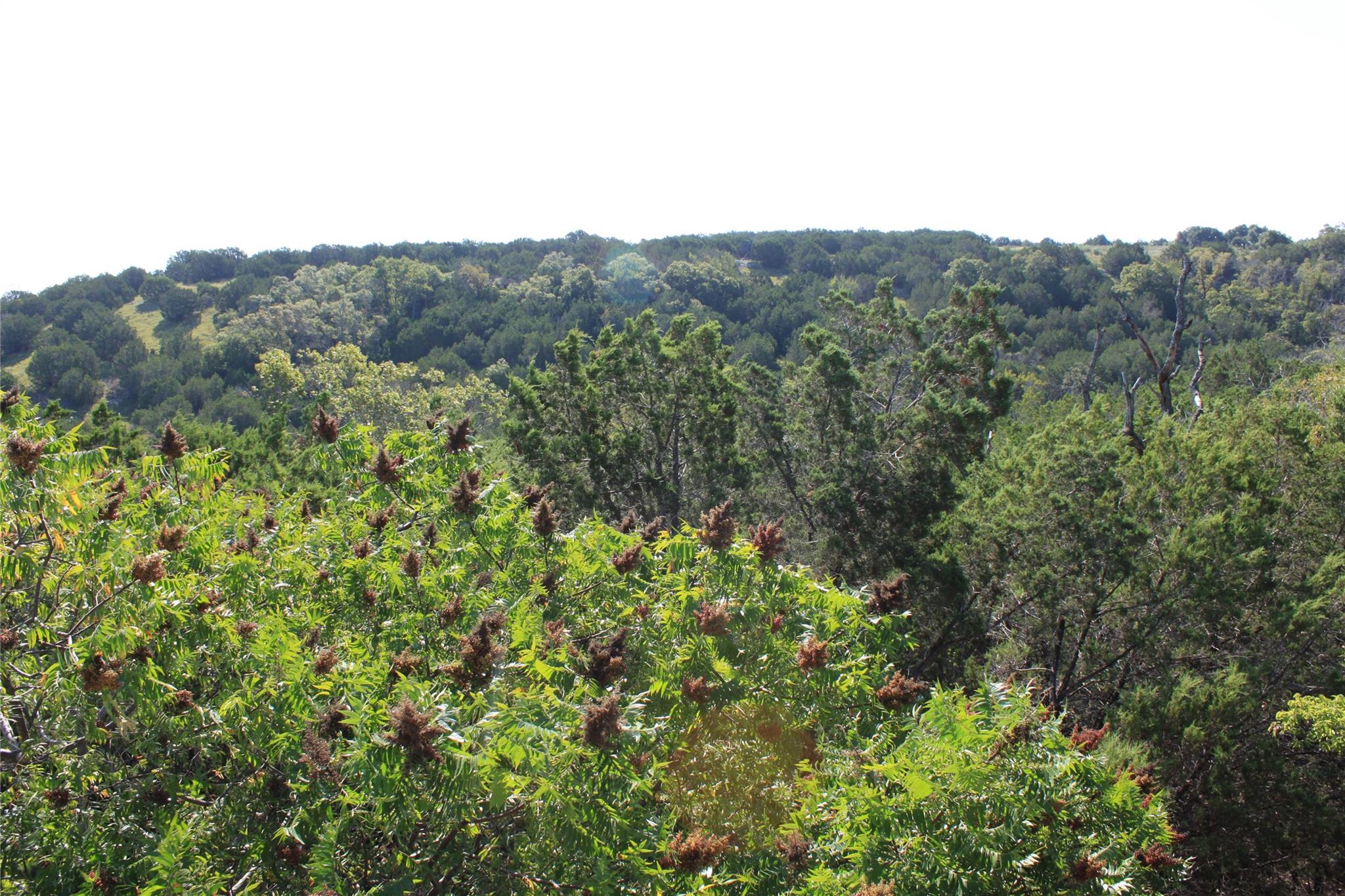 Lot 100 Saddle Ridge Dr Property Photo 20