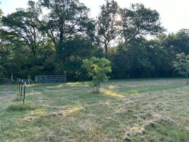 21604 Cold Spring Dr Property Photo 5
