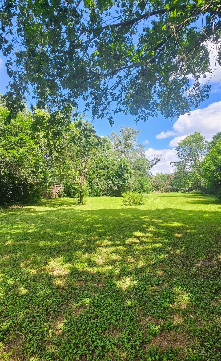 505 Colorado St Property Photo 9