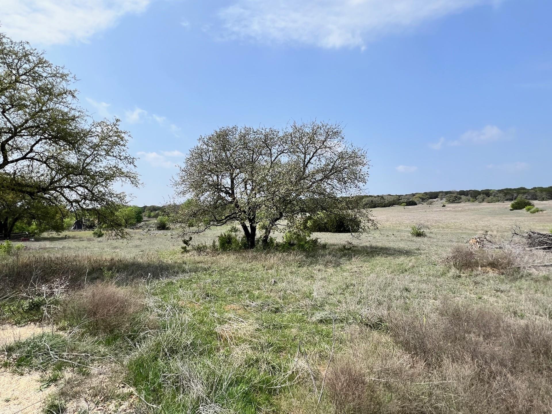 Tract 6 Cr 4717 Property Photo 2
