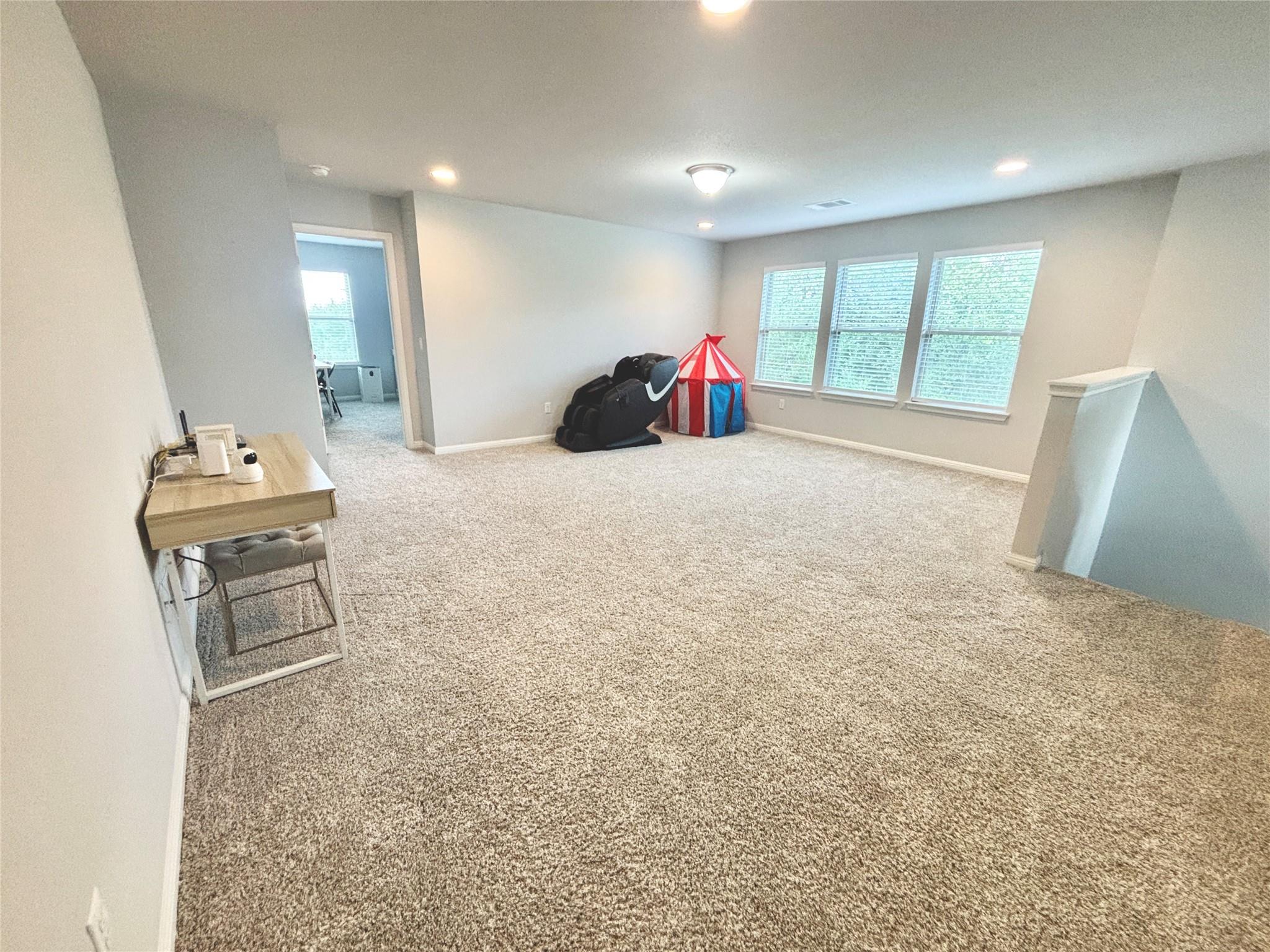 2301 Limestone Lake Dr #43 Property Photo 19