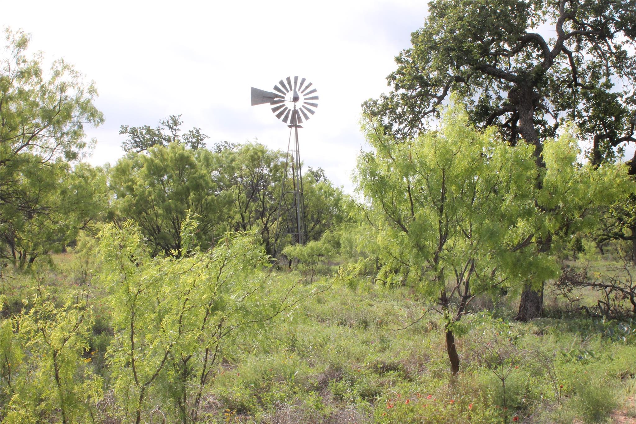 8095 Rr 2618 Property Photo 35