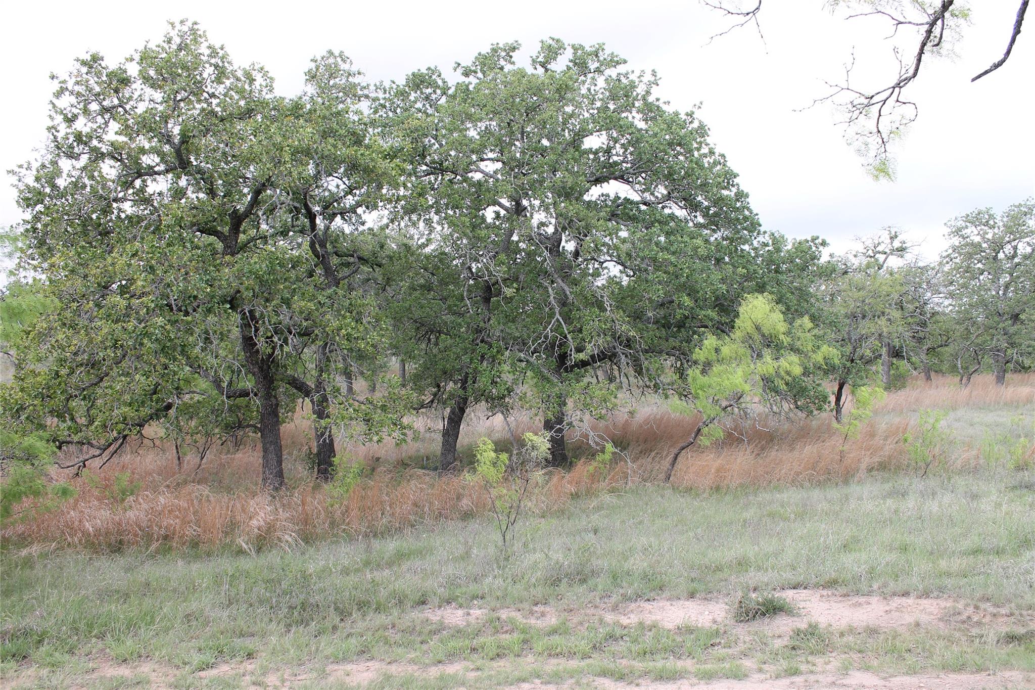 8095 Rr 2618 Property Photo 36