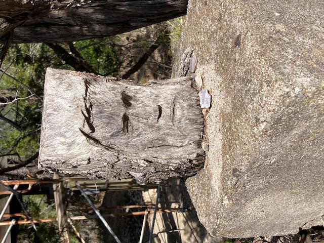 1970 Martin Rd Property Photo 18