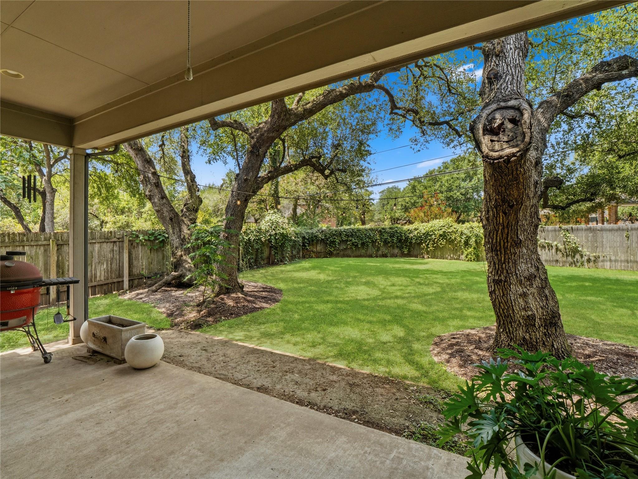 11516 Maggiore Dr Property Photo 24