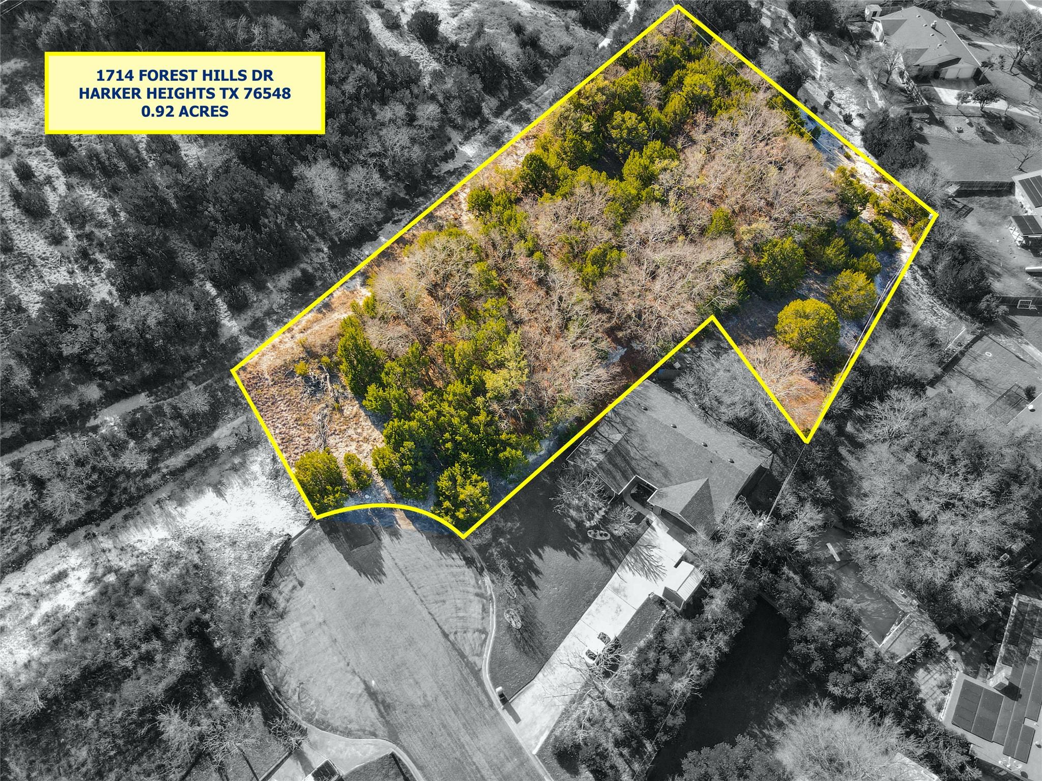 1714 Forest Hills Dr Property Photo 4
