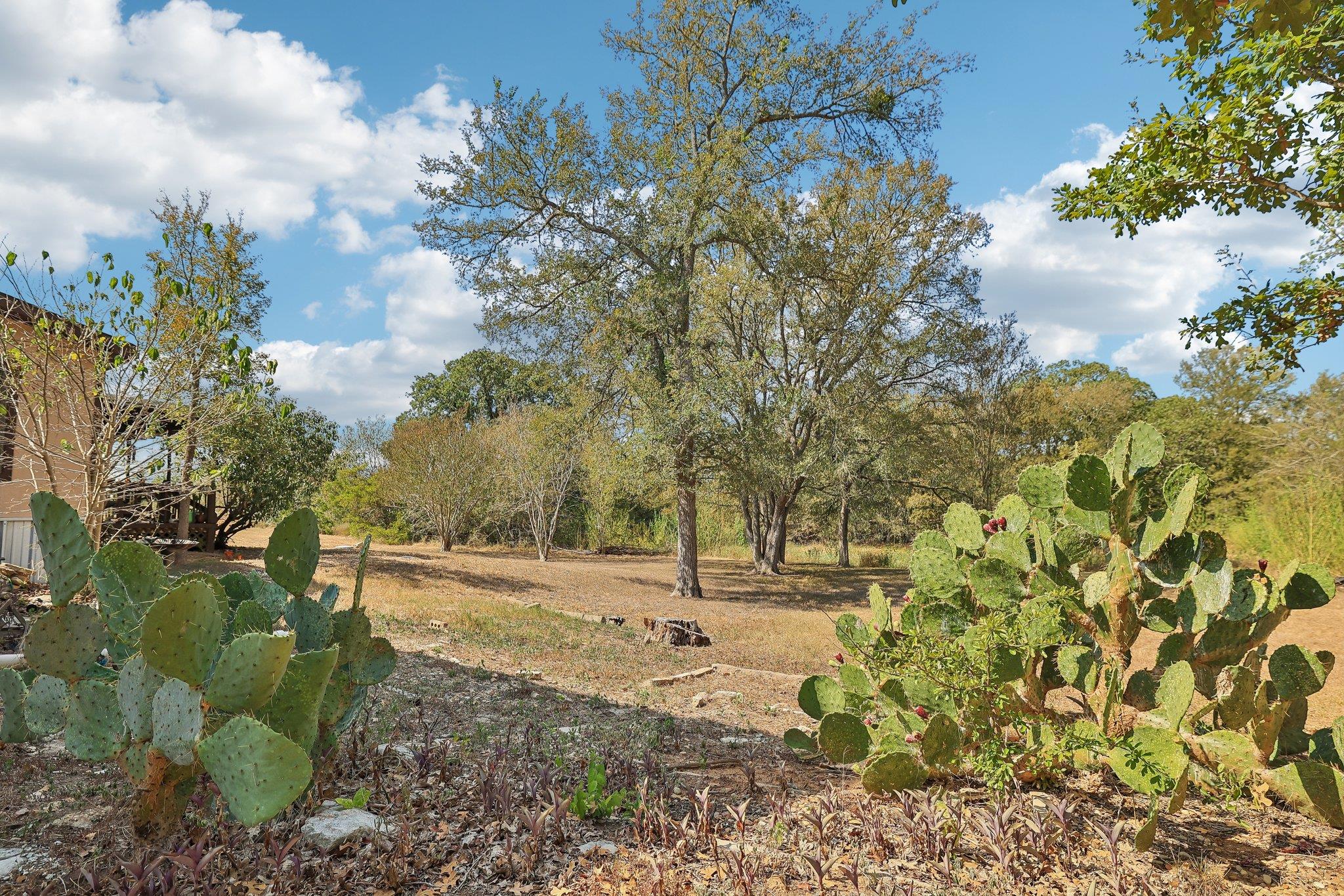 238 N Gaines Rd Property Photo 31