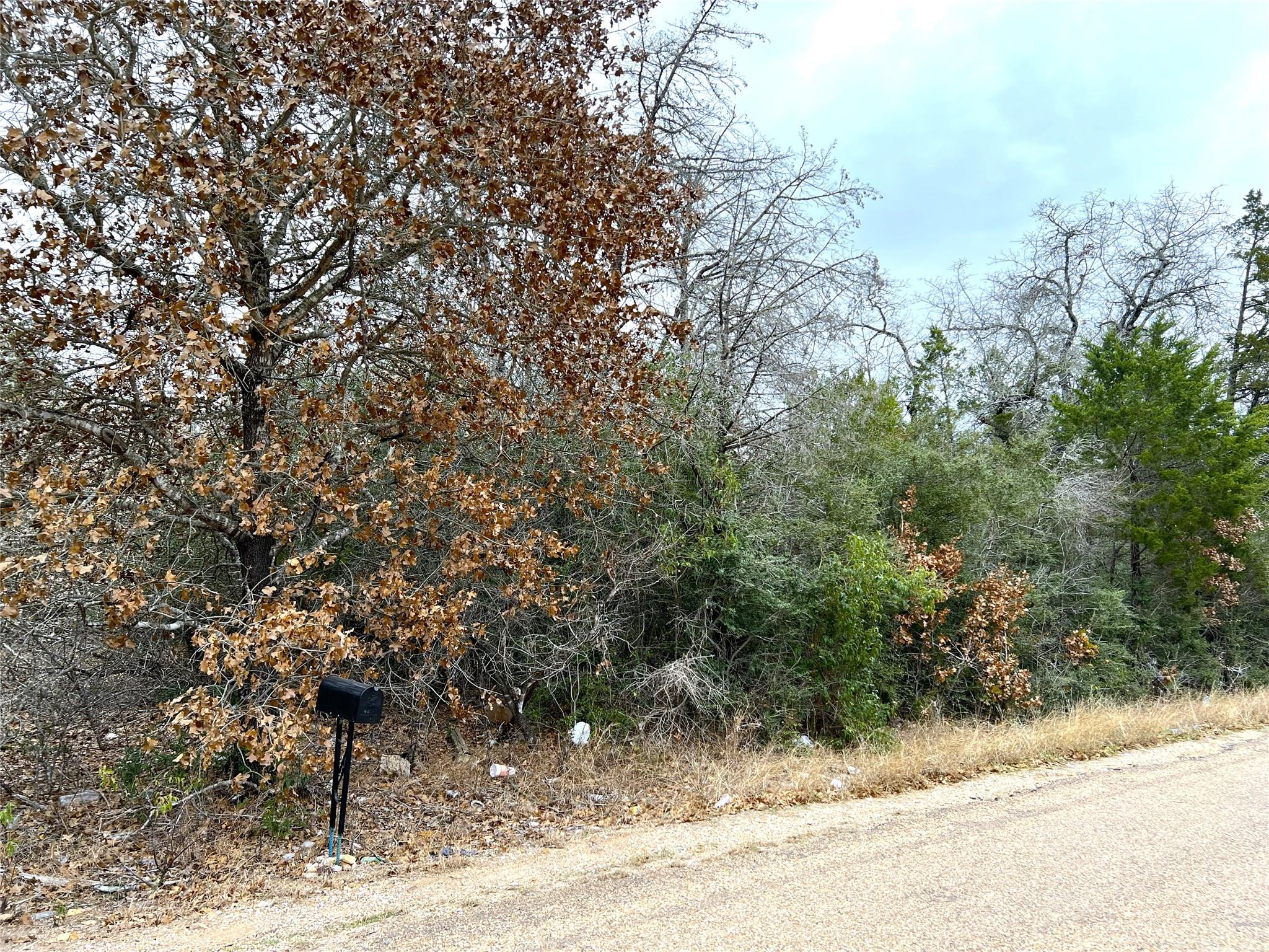 00 B J Mayes Dr Property Photo 12