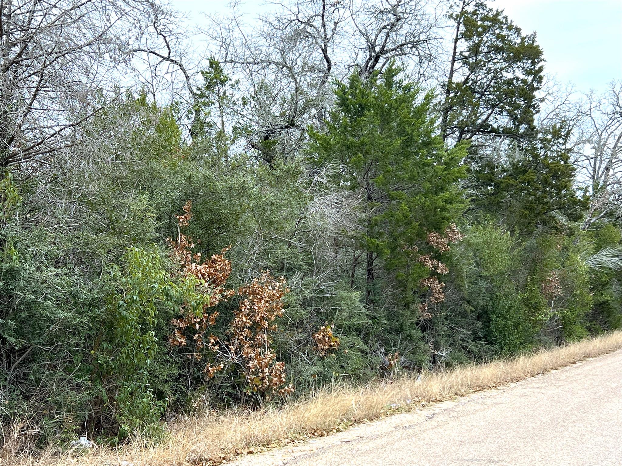 00 B J Mayes Dr Property Photo 13