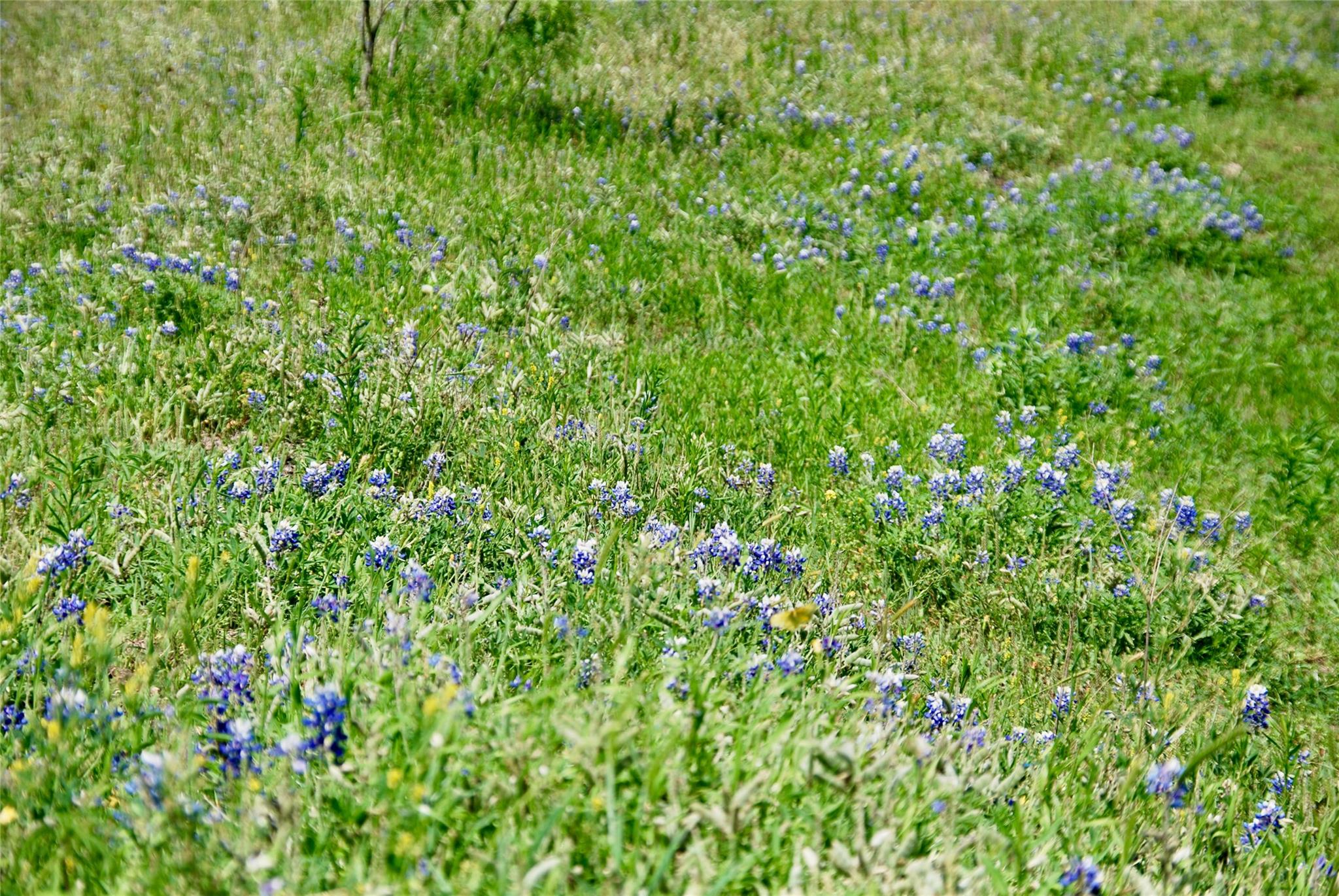 1835 Lehmann Rd Property Photo 17