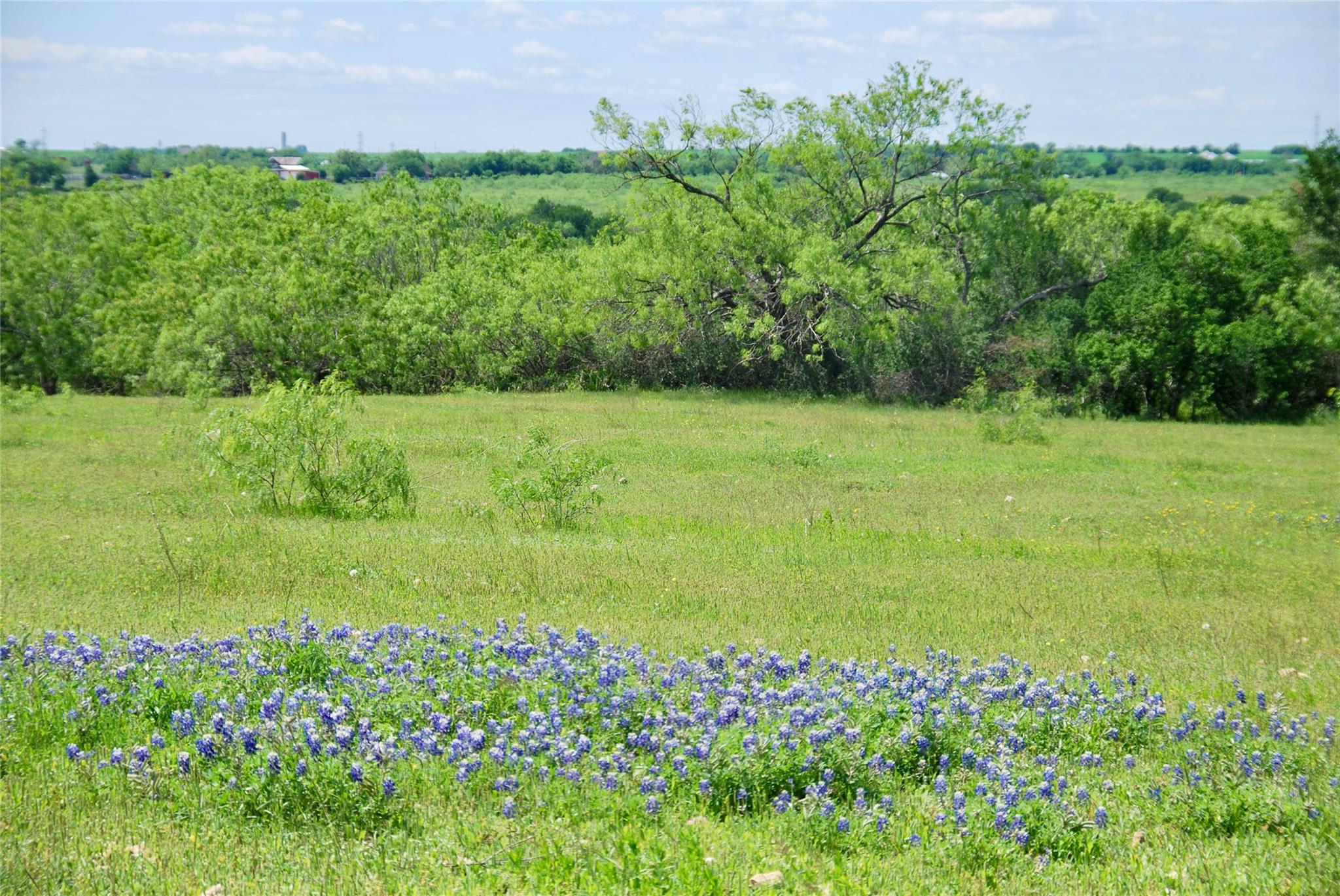 1835 Lehmann Rd Property Photo 19