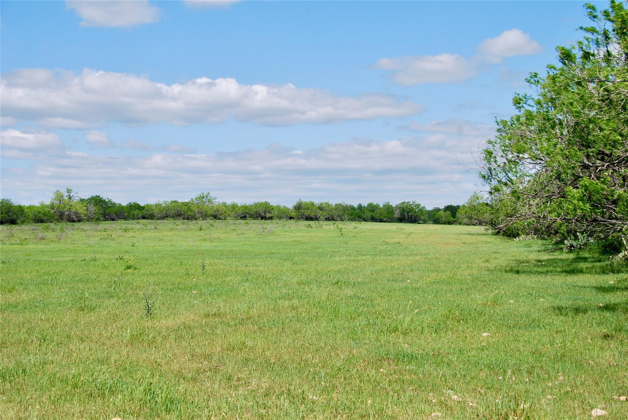 1835 Lehmann Rd Property Photo 31