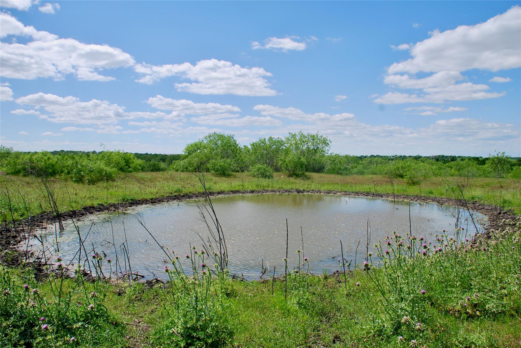 1835 Lehmann Rd Property Photo 32