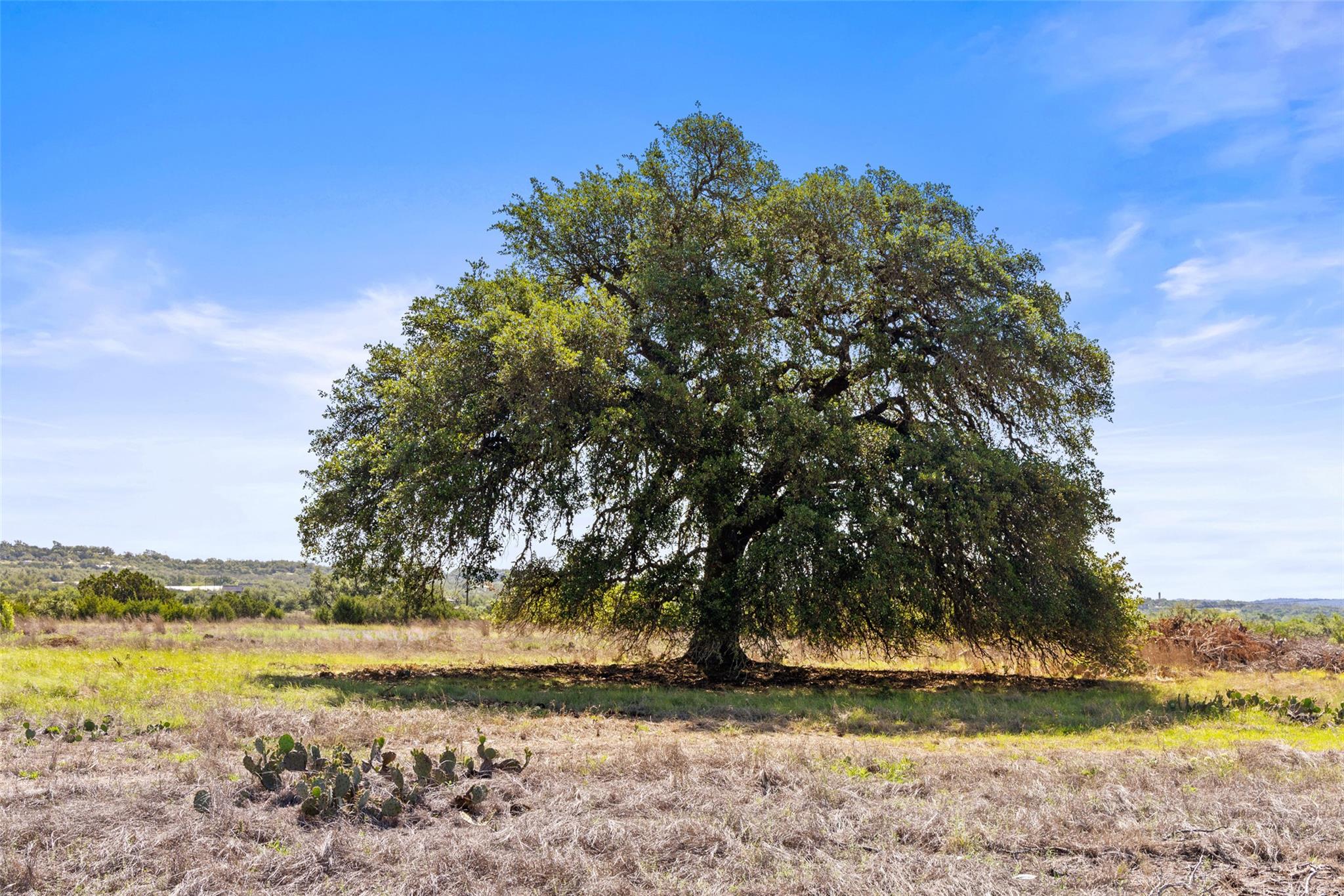 6590 Us 290 None Property Photo 5