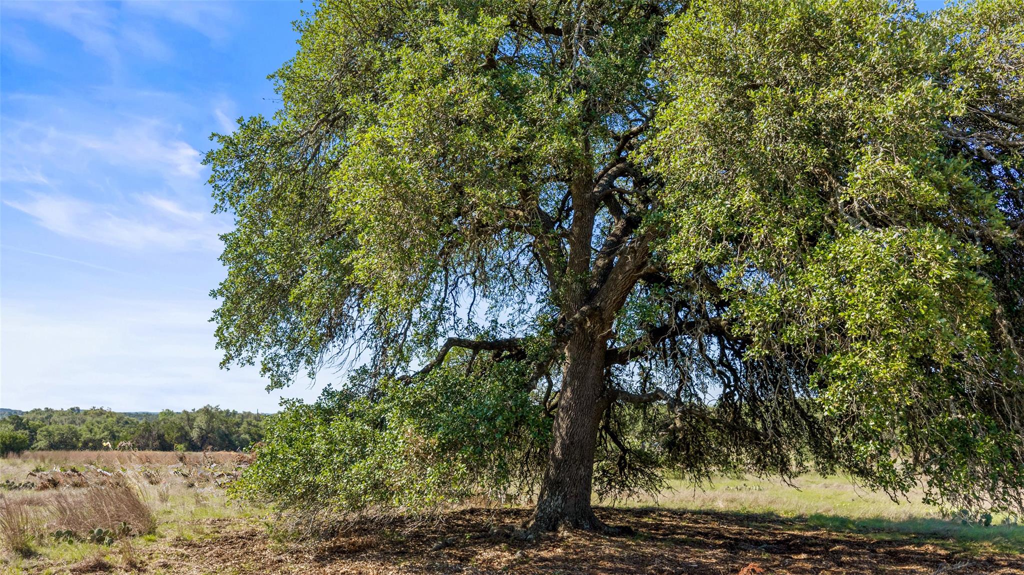 6590 Us 290 None Property Photo 11