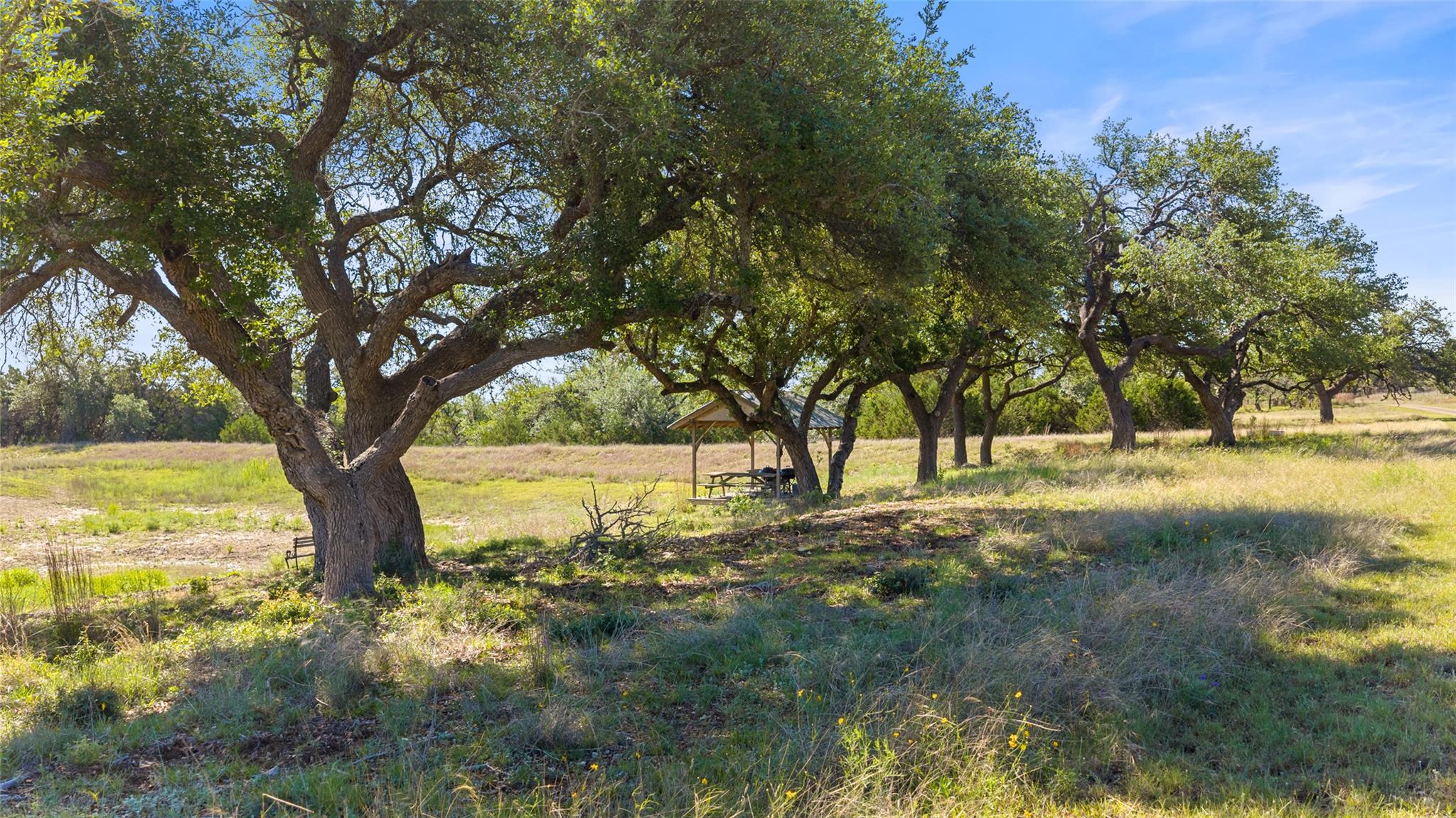 6590 Us 290 None Property Photo 14