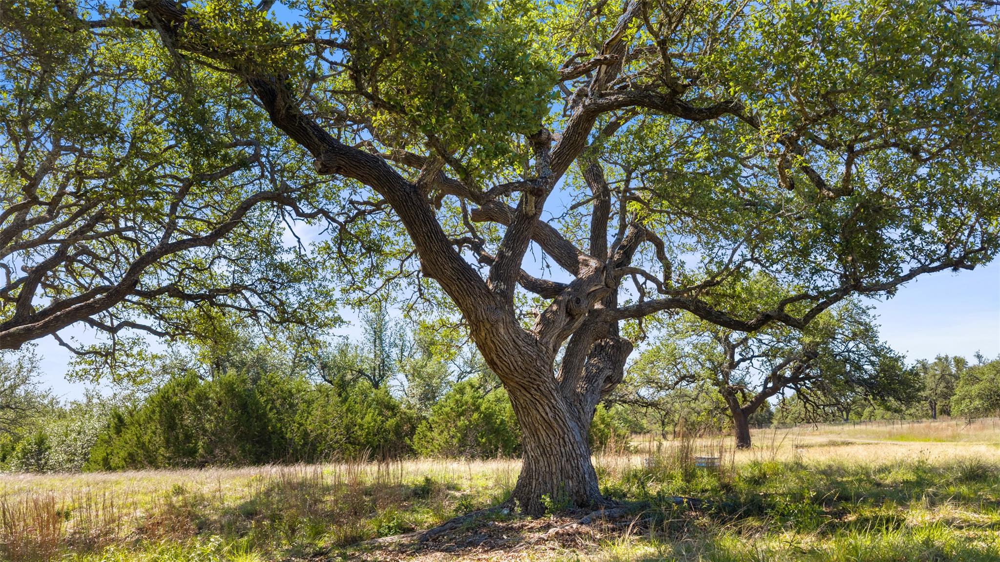 6590 Us 290 None Property Photo 16