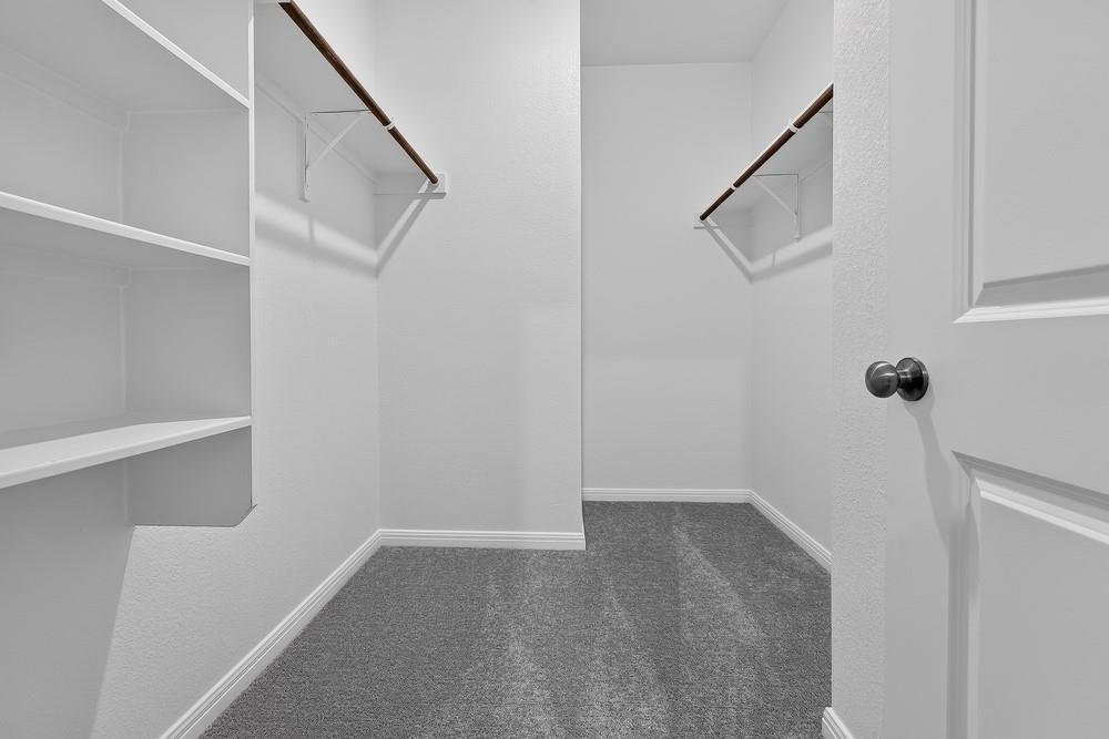 207 Bayou Mint Blvd Property Photo 11