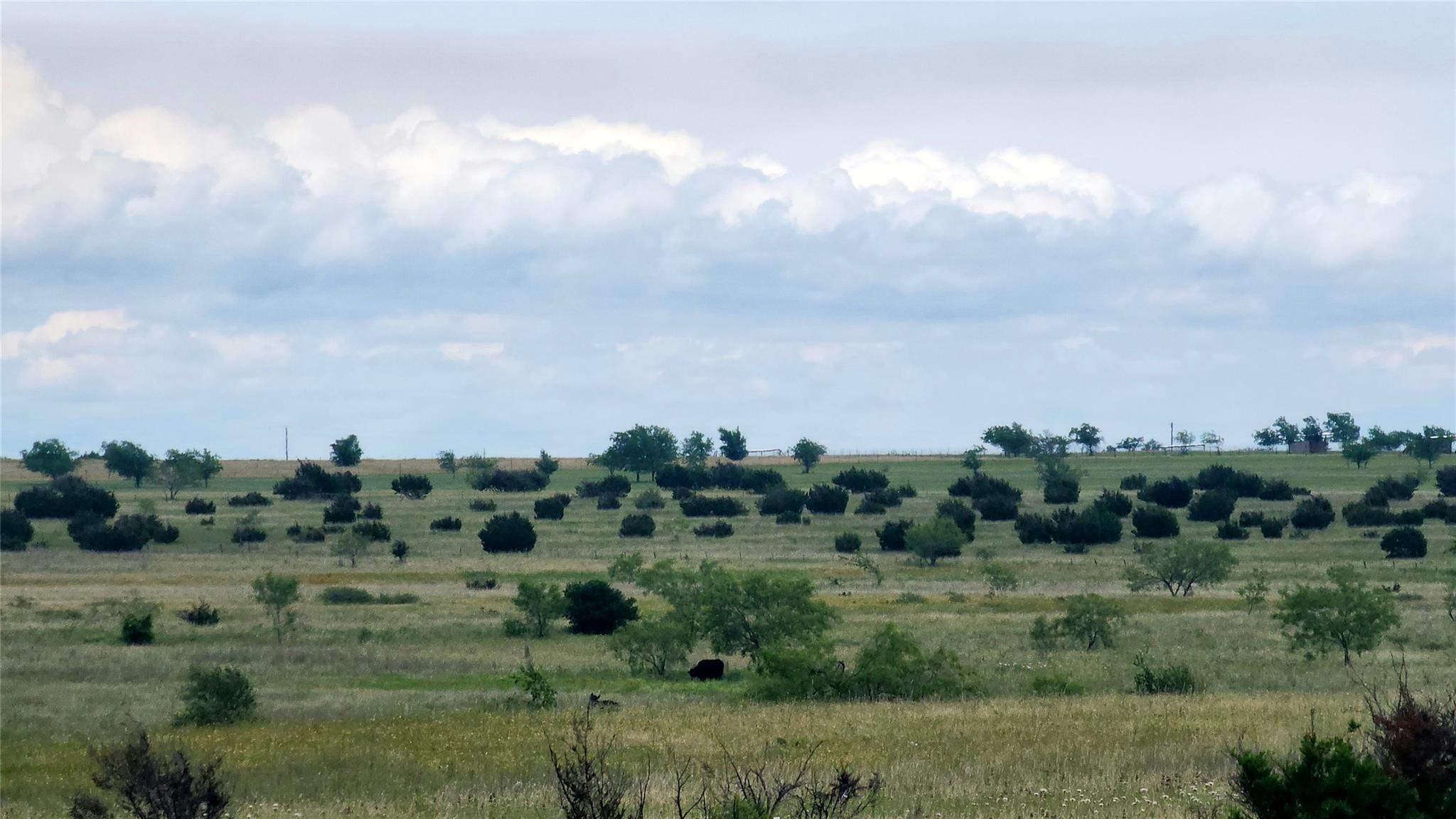 Tbd County Road 963 None E Property Photo 4