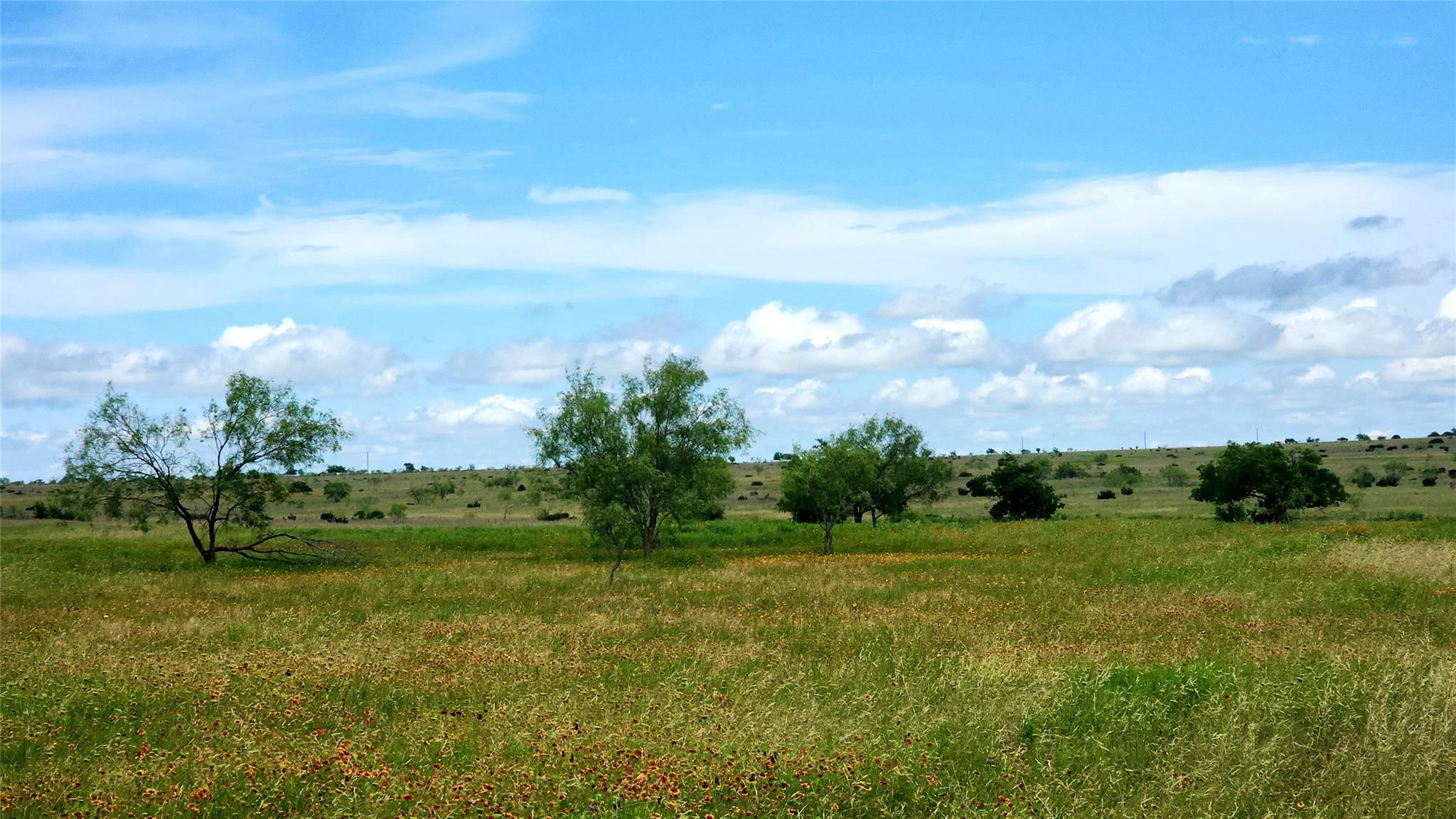Tbd County Road 963 None E Property Photo 5