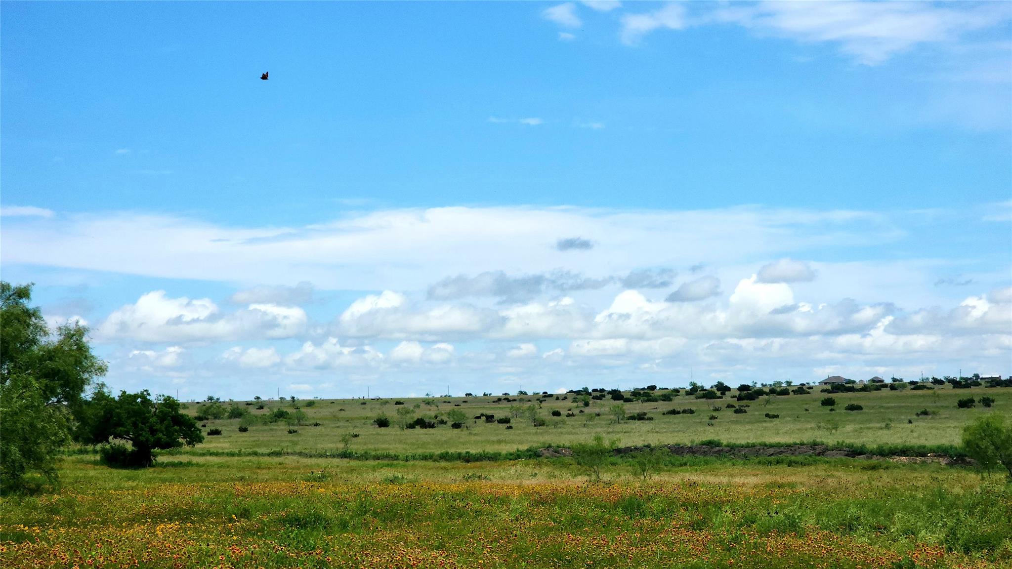 Tbd County Road 963 None E Property Photo 6